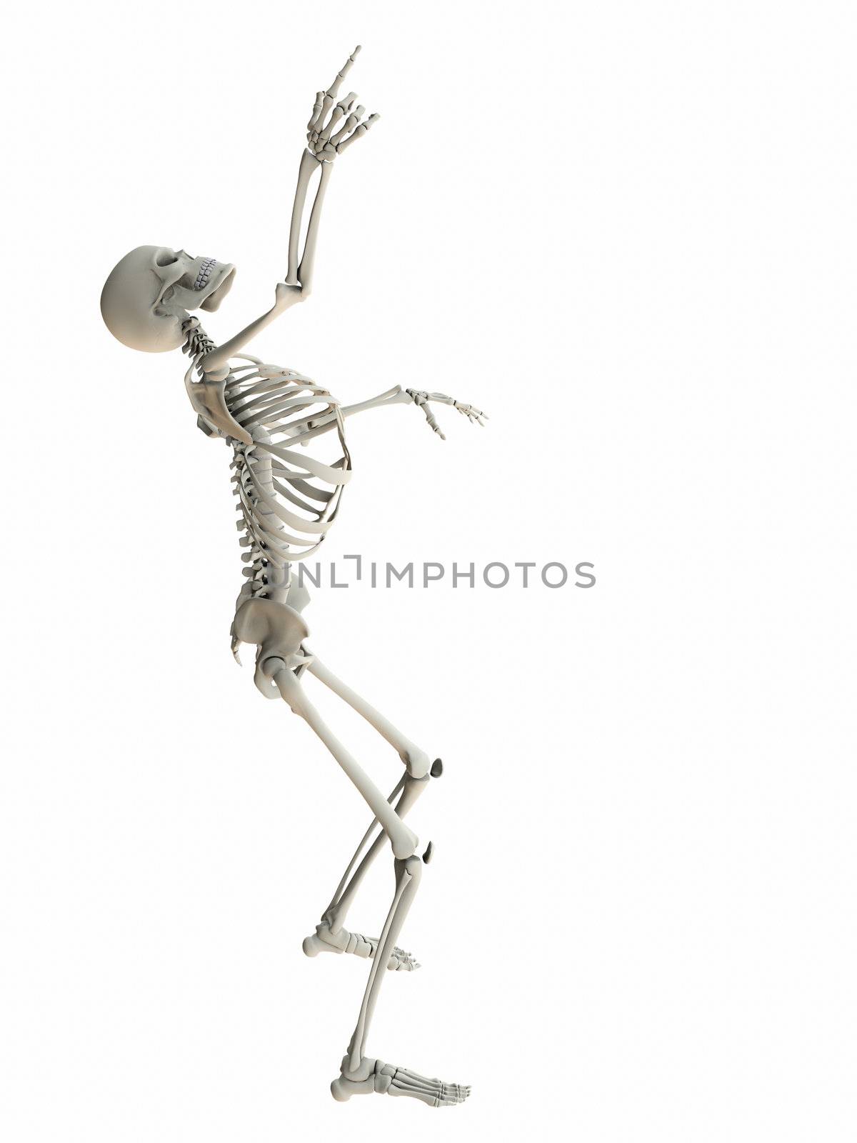 Isolated skeleton standing looking up pointing at white copy space.