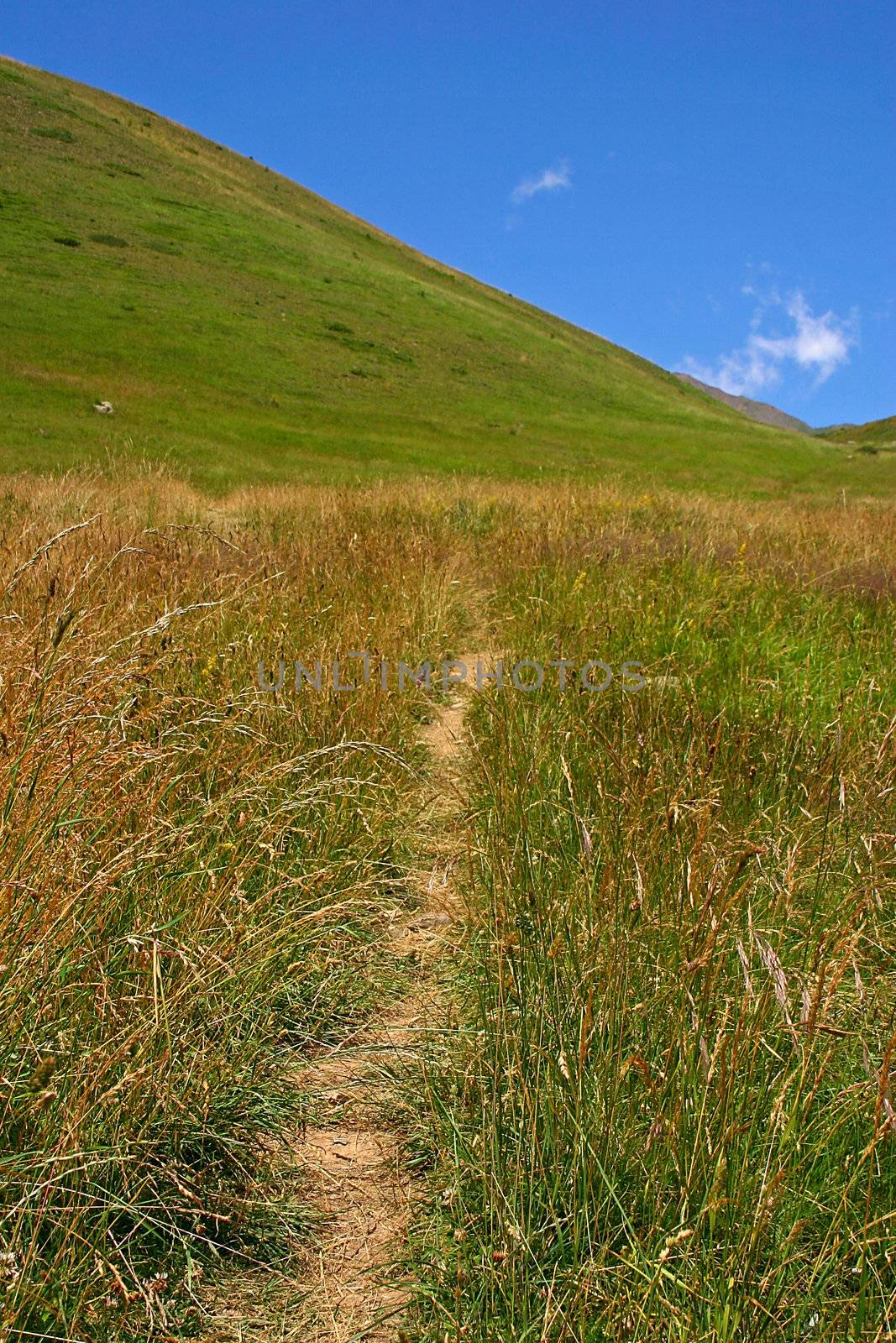 Small walking trail in the French mountains