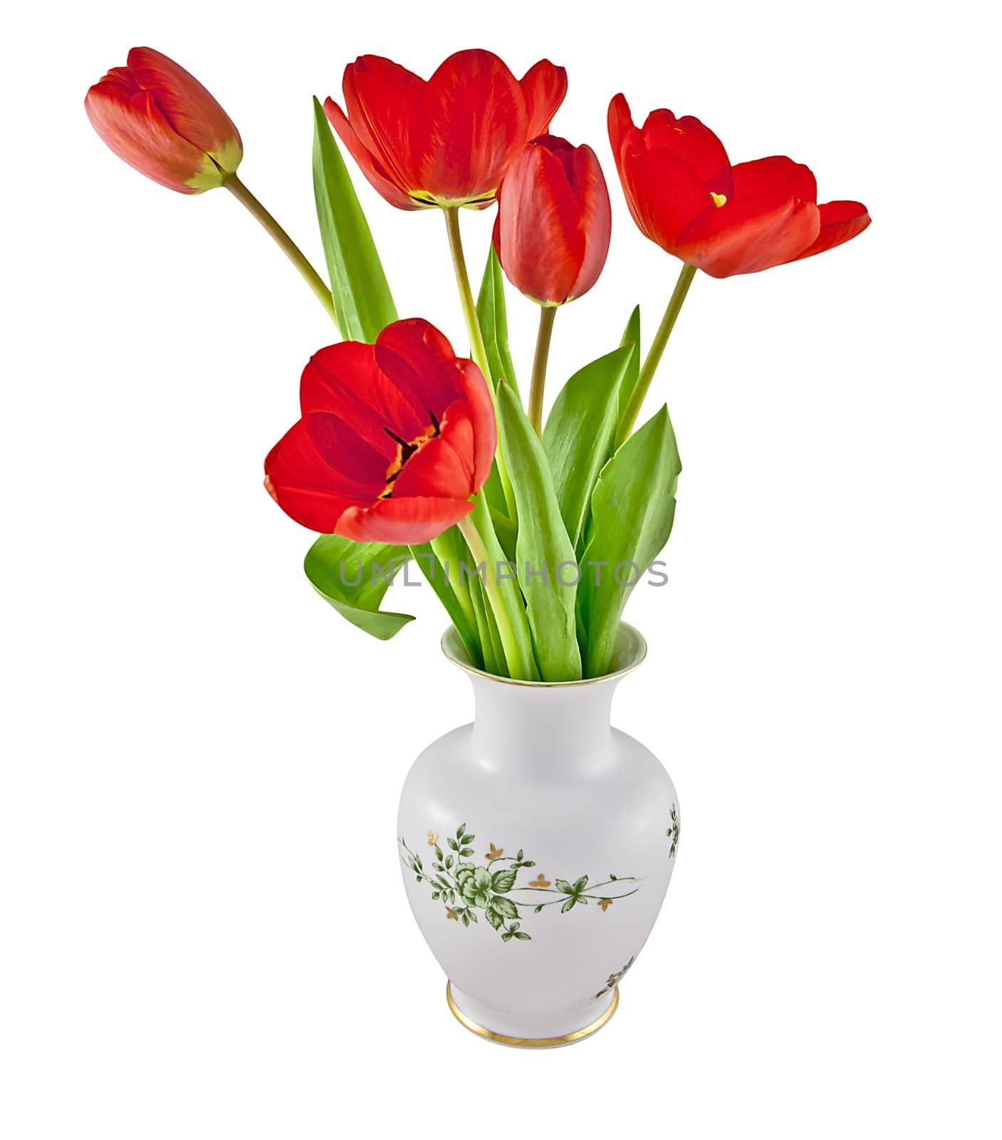 Tulips in a white vase isolated on white