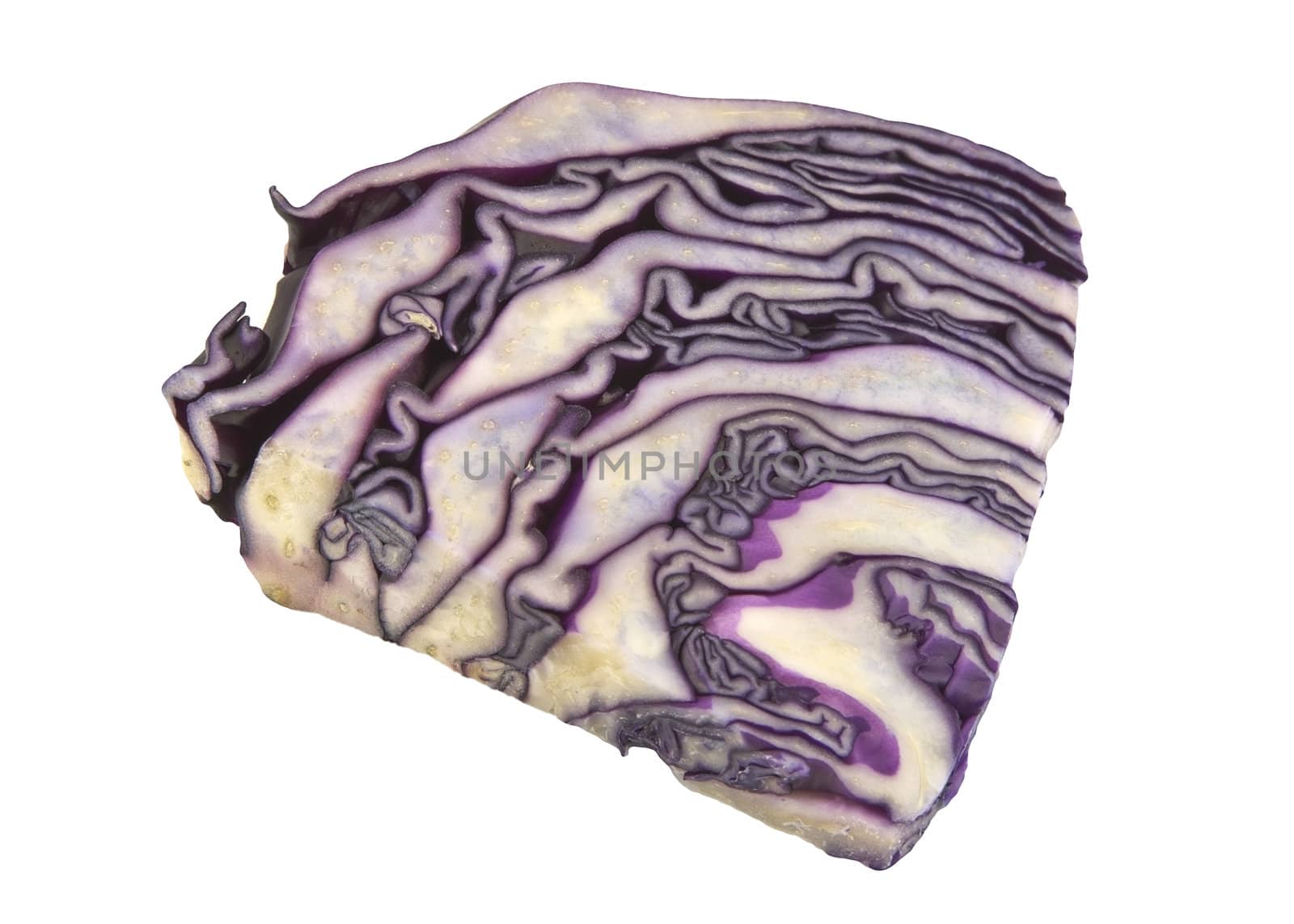 A piece of red cabbage isolated on white