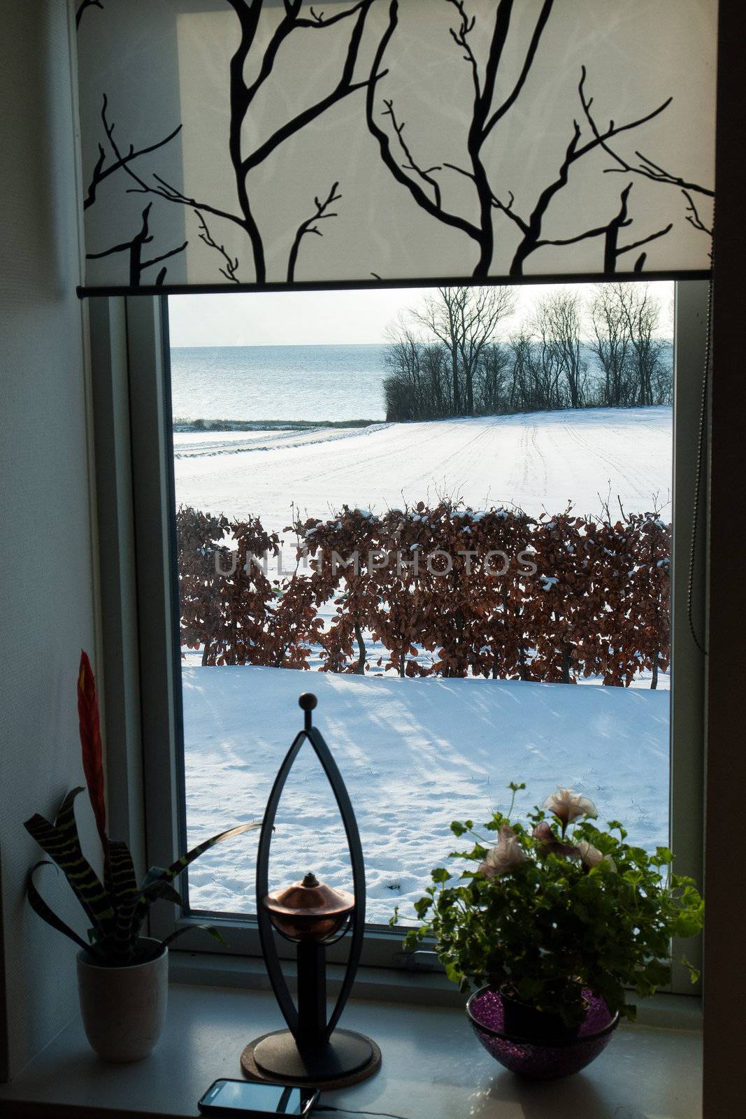 Beautiful winter view of snow and trees landscape from the window