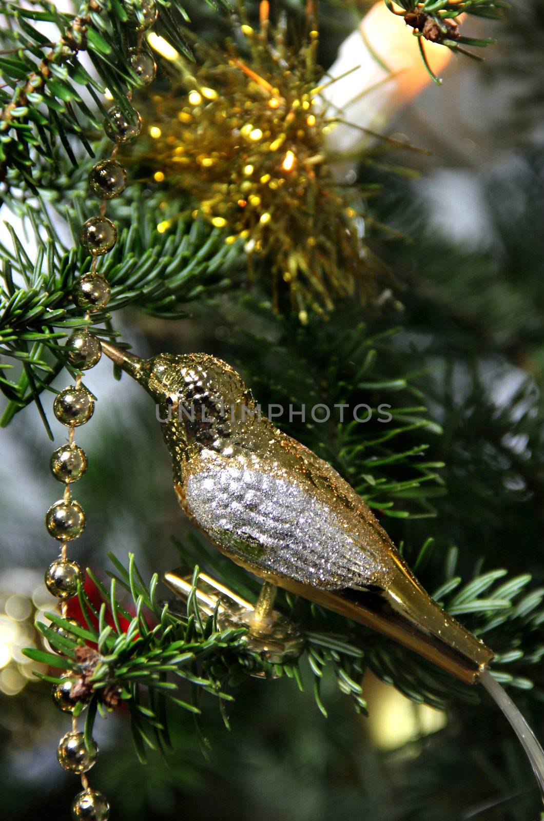 Christmas golden bird decoration  by tanouchka