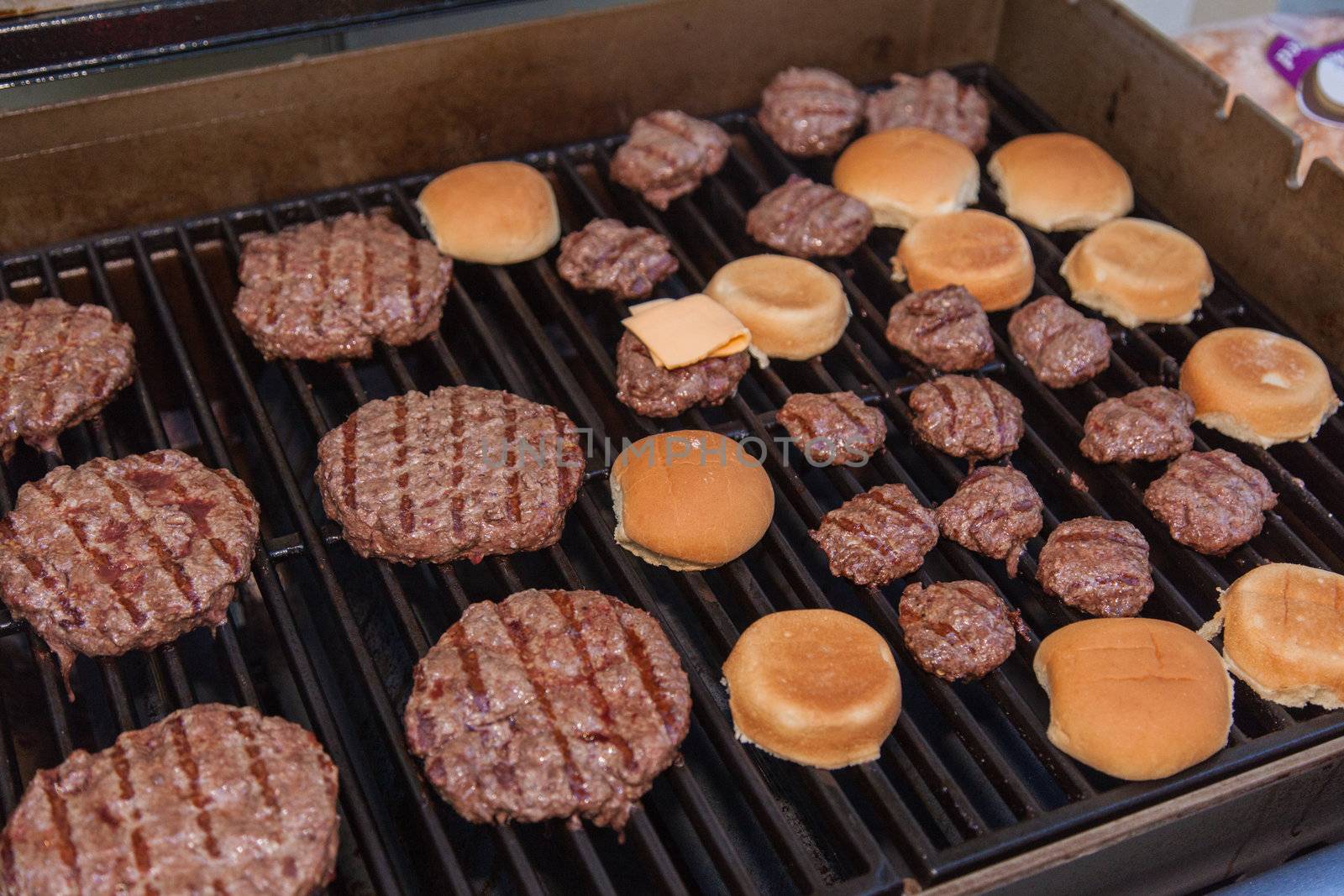 Meat cooking on a charcoal grill in a garden.