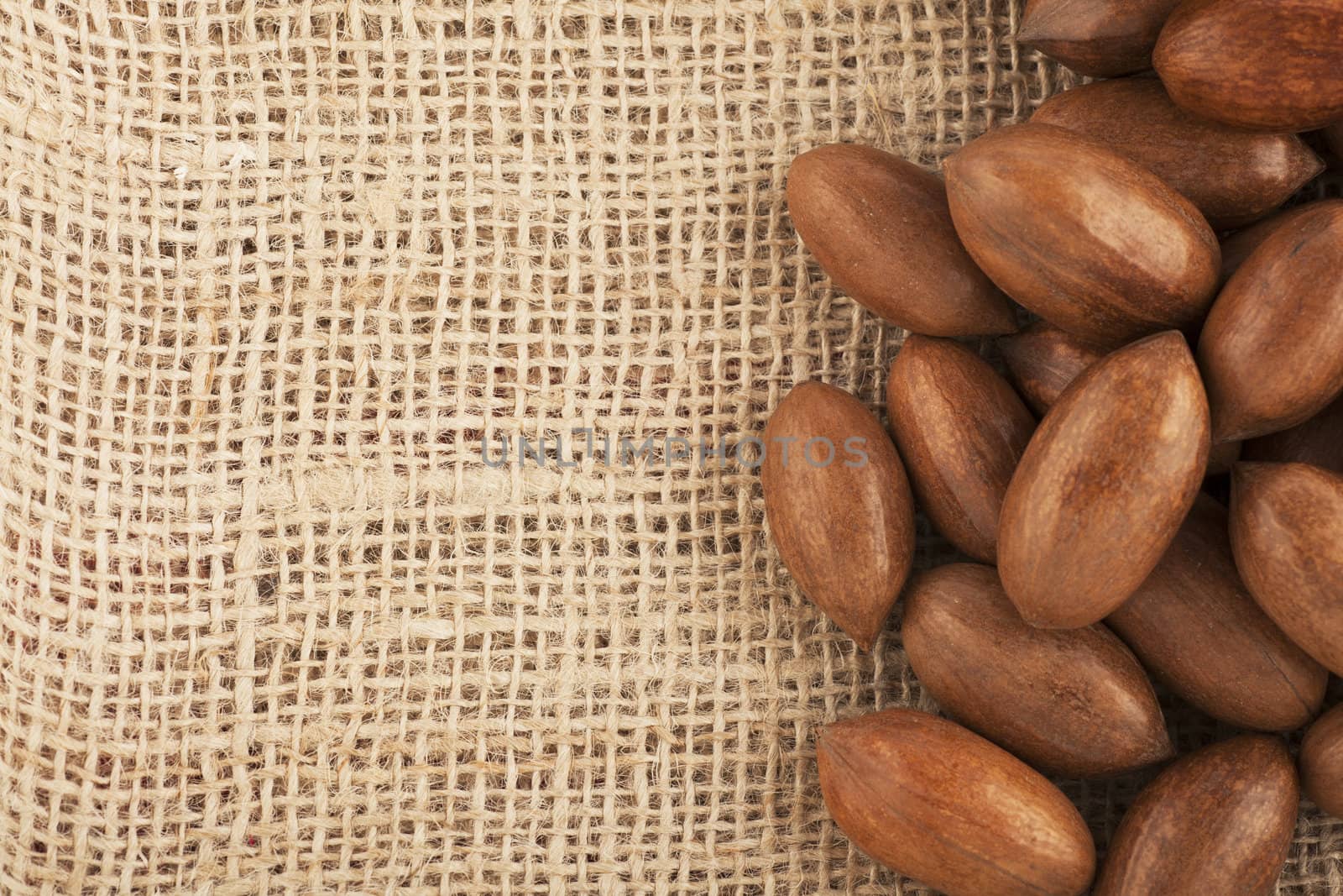 Whole unshelled pecans on burlap sack with copy space