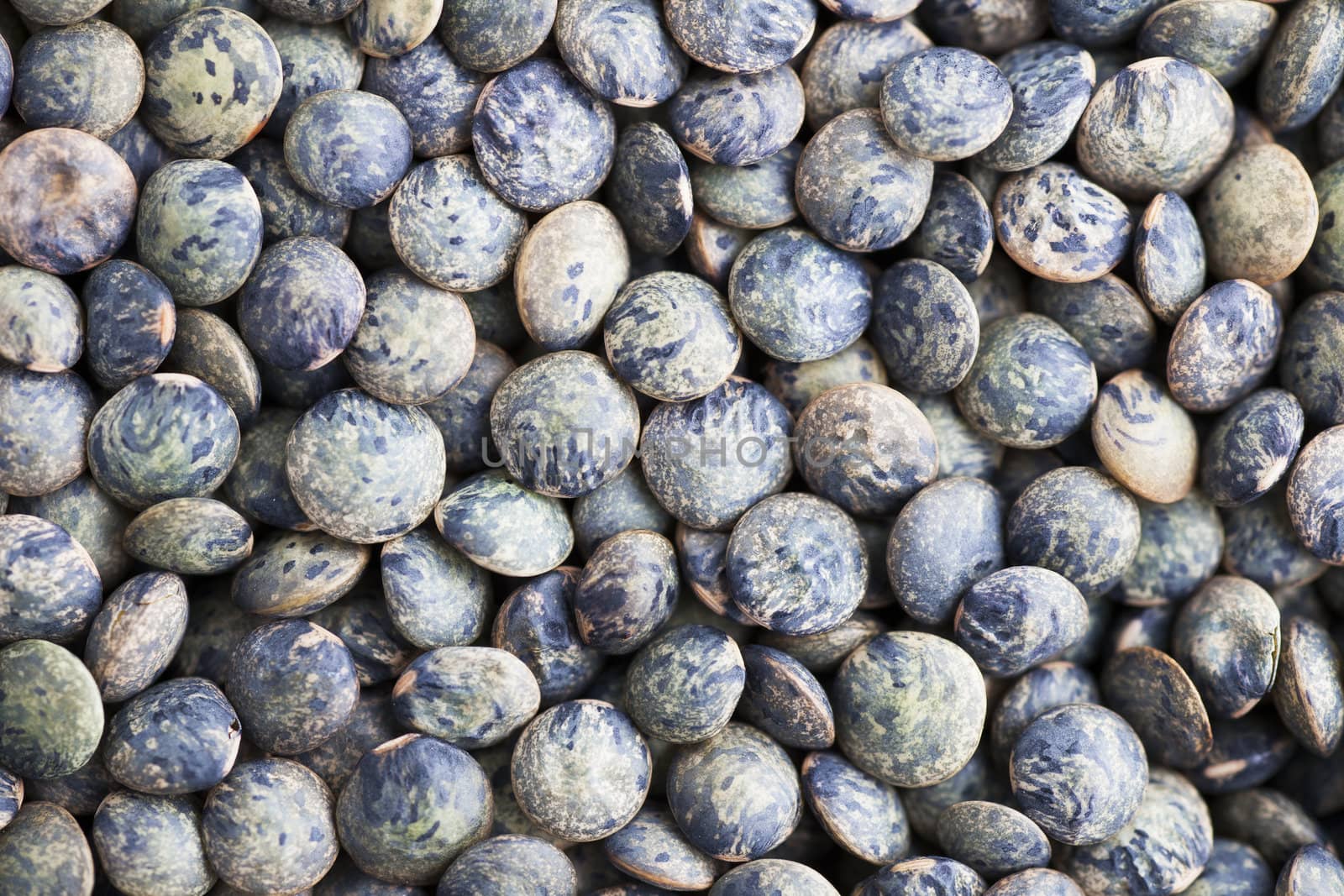 Close-up of green lentils great for healthy food background or texture