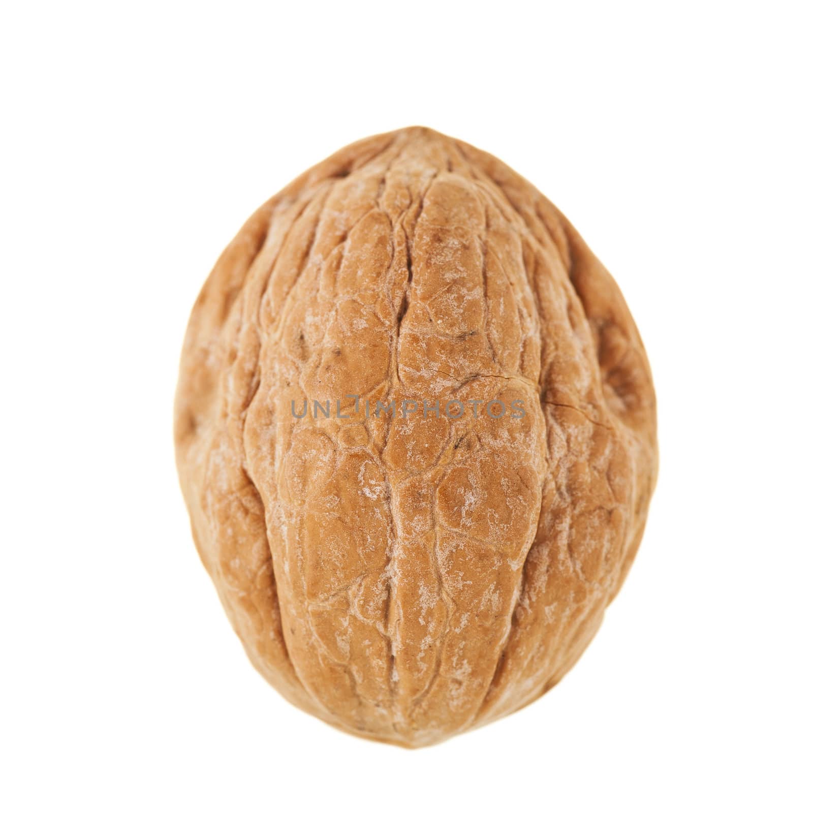 Whole walnut isolated on white background