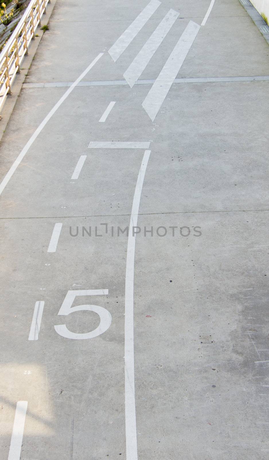 White bike lane marks with a big five speed limit and pedestrian crossing