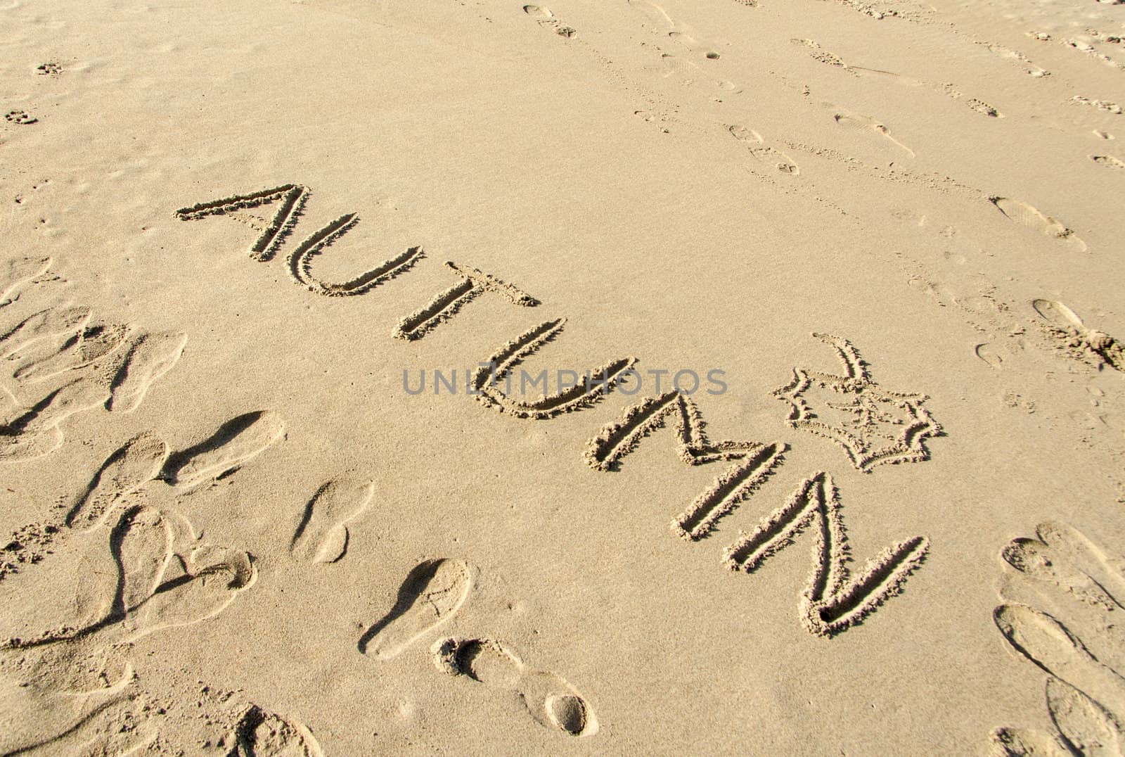 Word autumn handwritten and leaf drawn on beach sand background