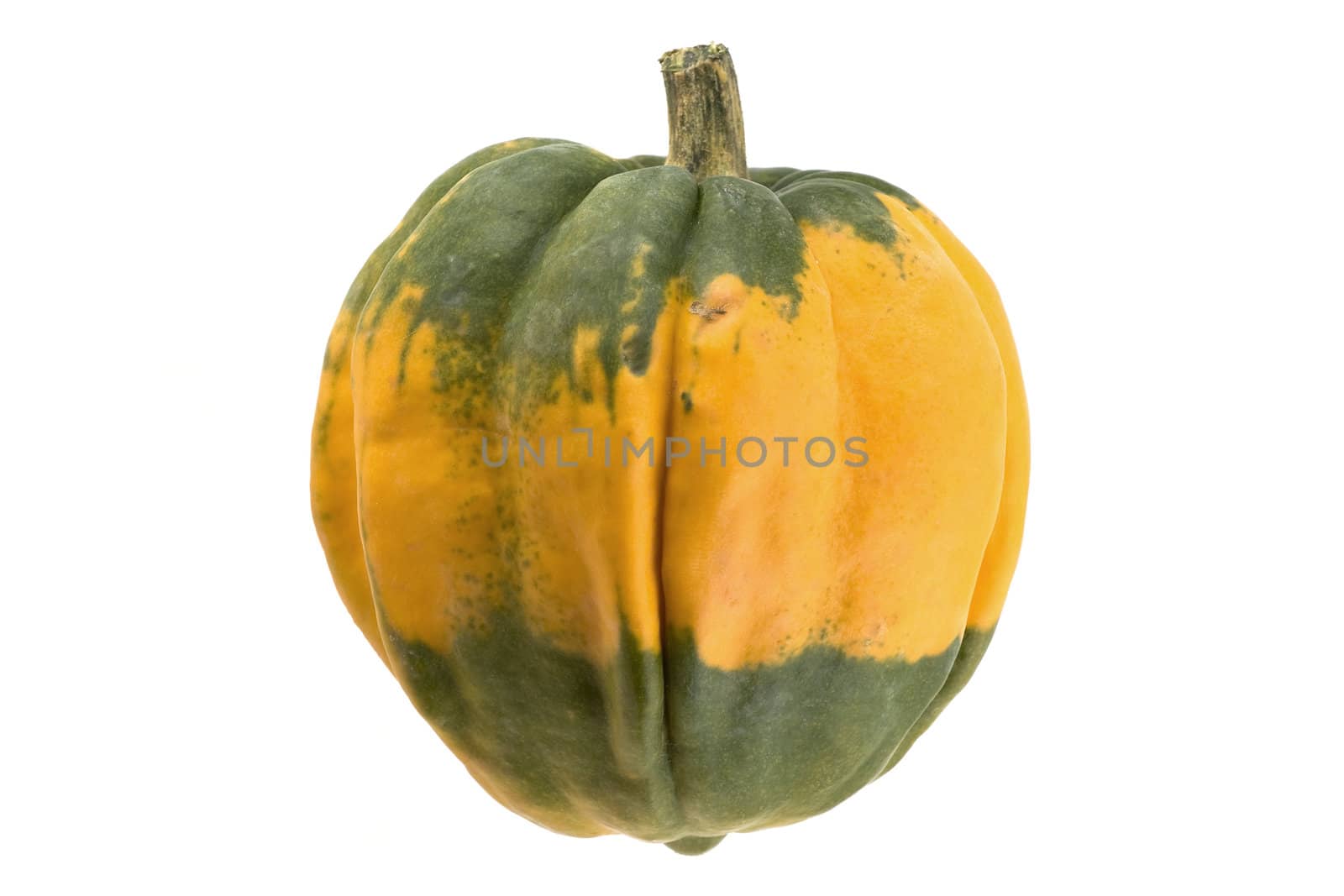 Bi-color decorative pumpkin over pure white background.