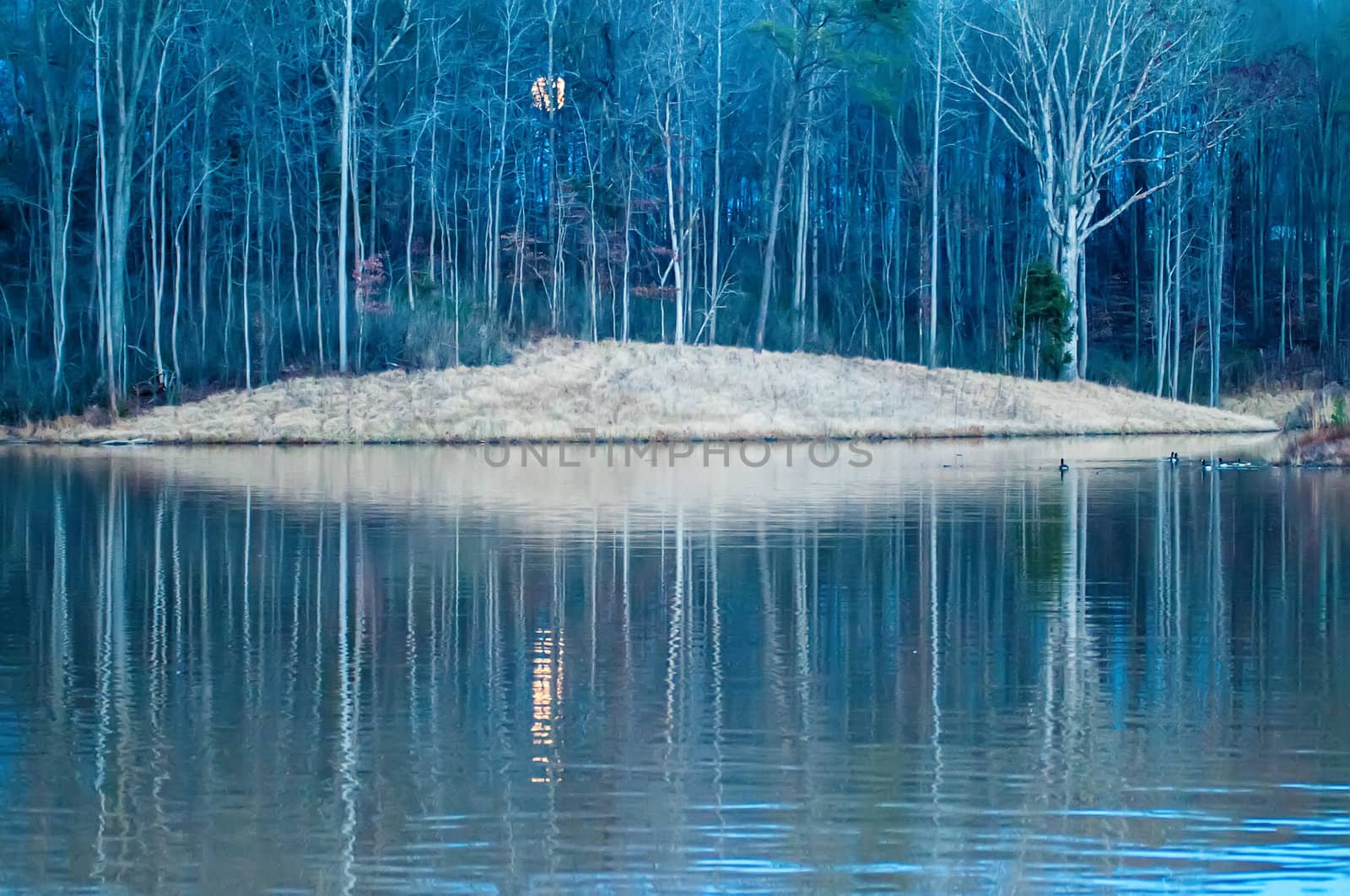 moon reflecting in lake by digidreamgrafix