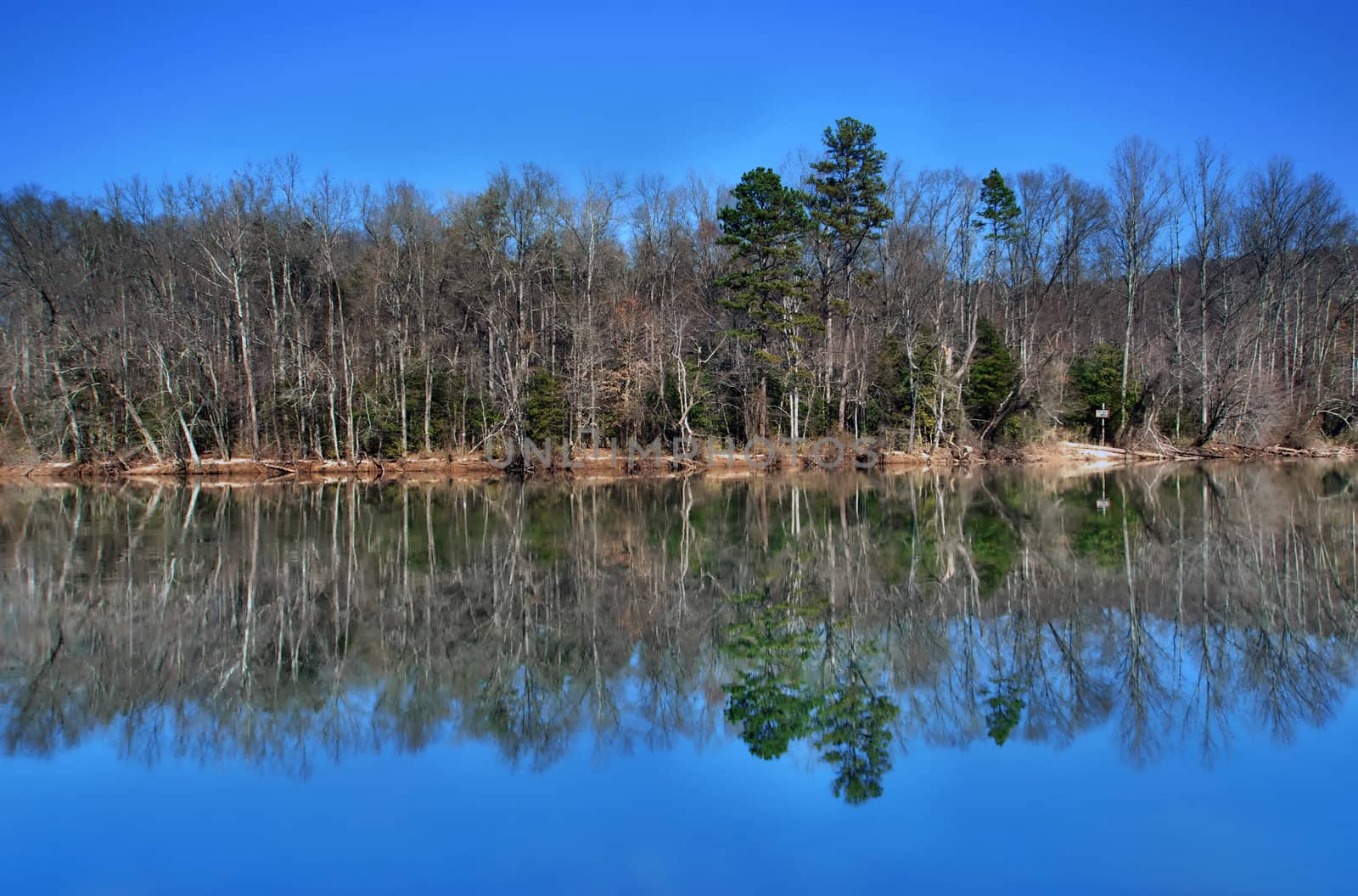 Lake reflections of fall foliage. Colorful autumn foliage casts its reflection on the calm waters of a North Carolina lake along the Blue Ridge Parkway.