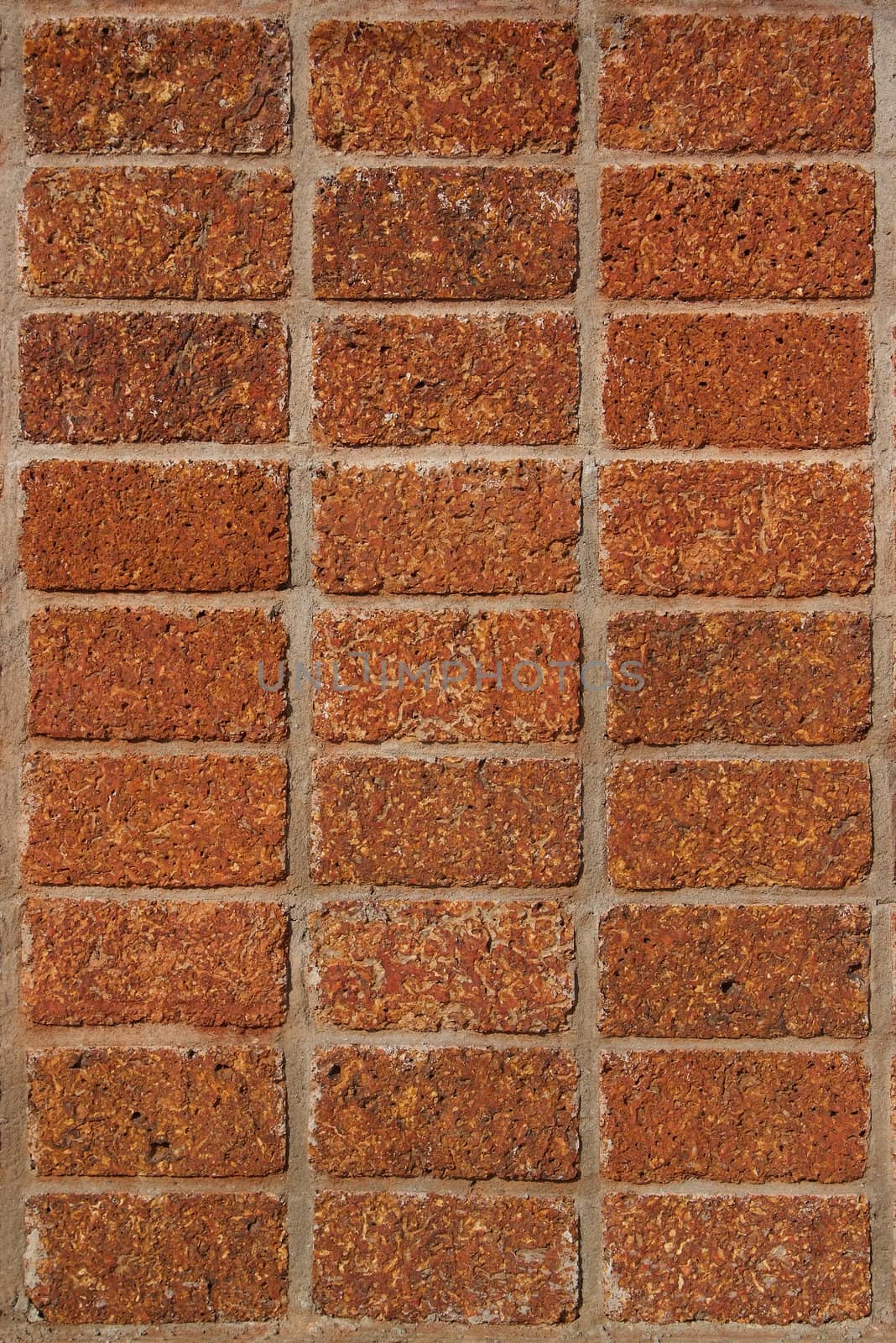 Laterite brick wall  by opasstudio