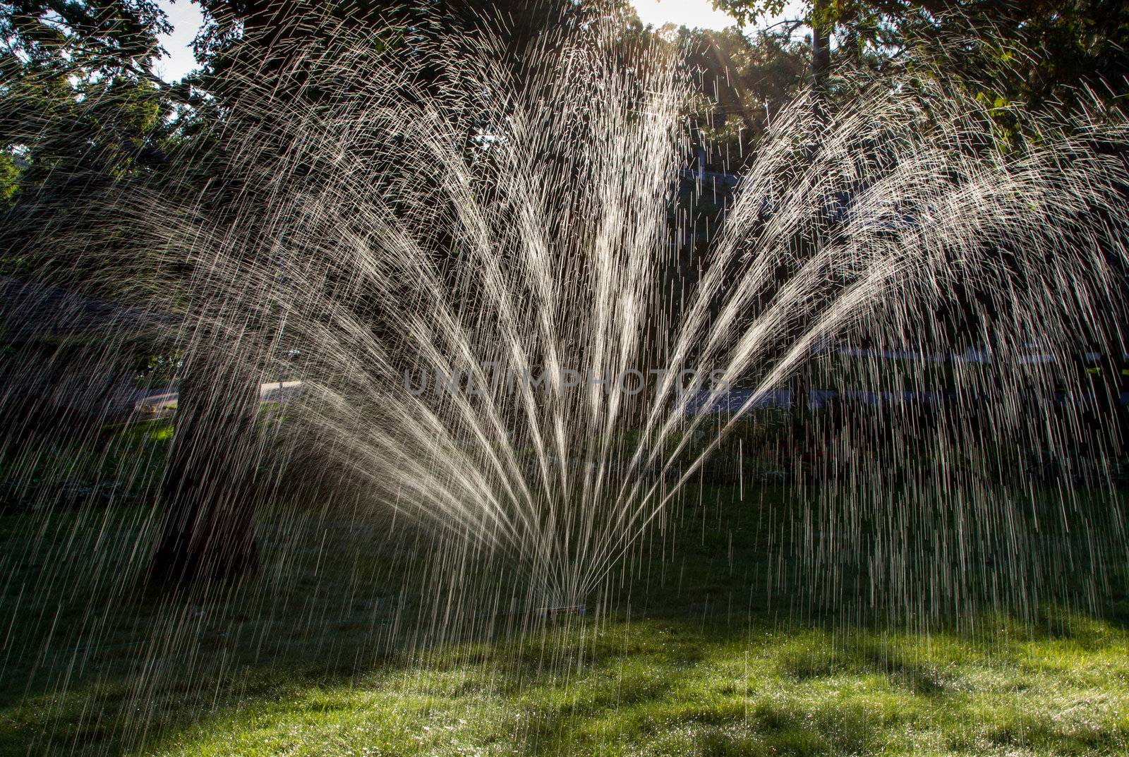 Lawn Sprinkler by wolterk