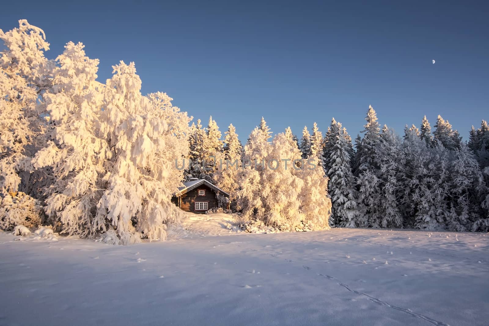 Beautiful winter landscape in Sweden