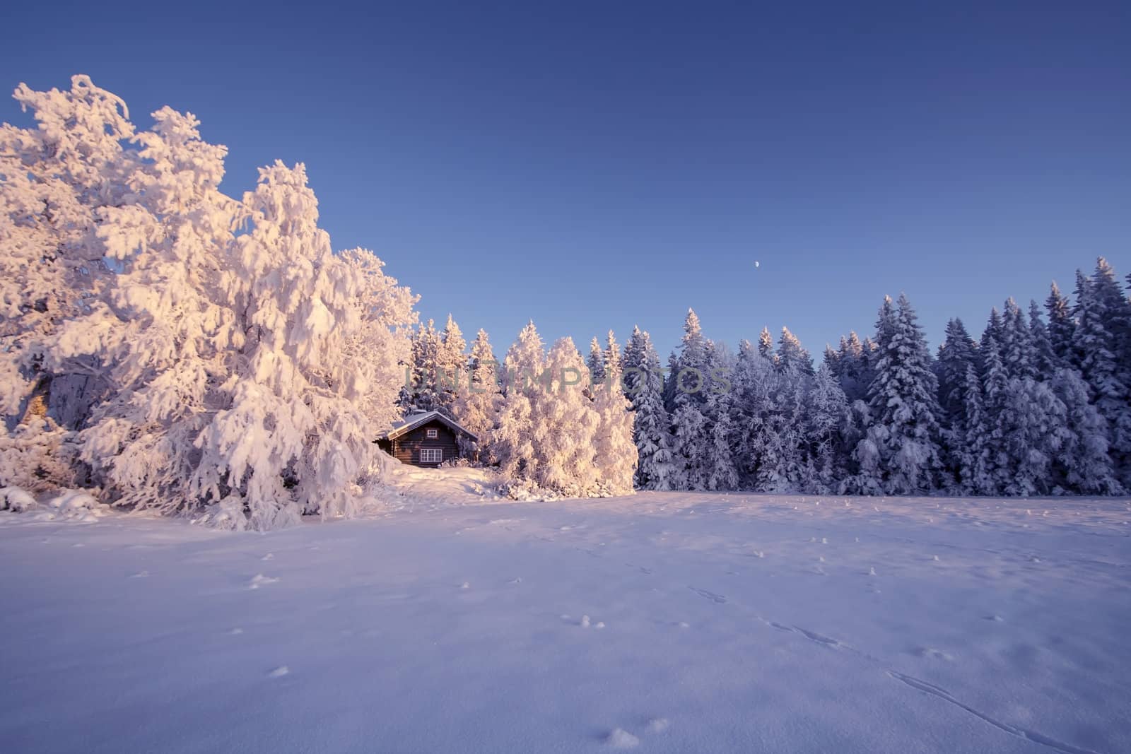 Beautiful winter landscape in Sweden