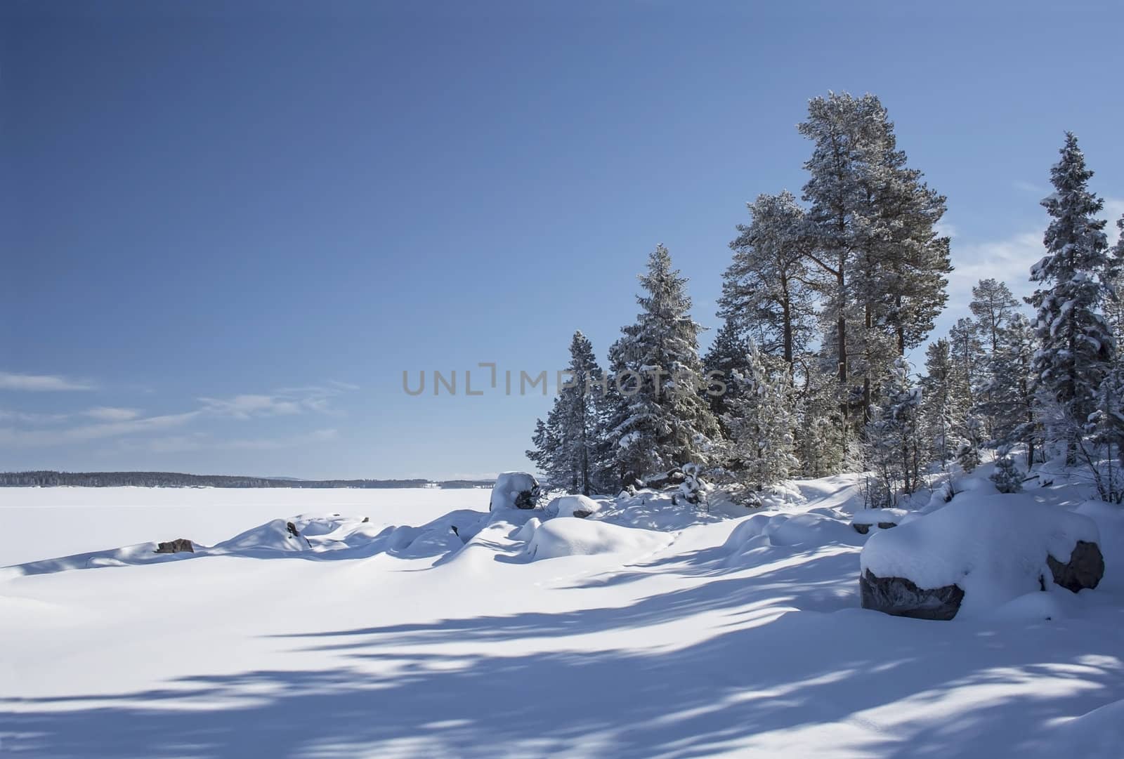 Beautiful winter landscape in Sweden