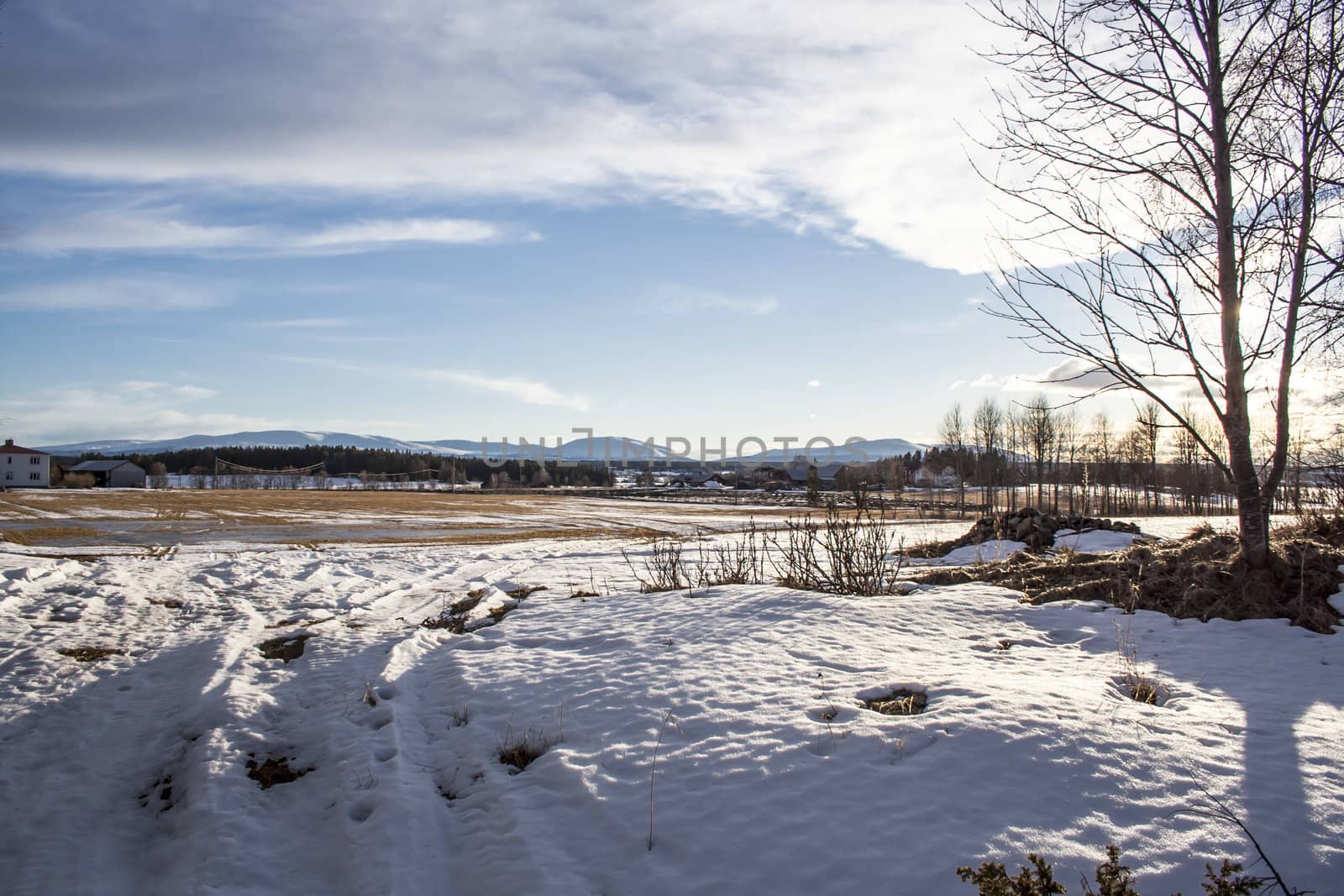 Beautiful winter landscape in Sweden