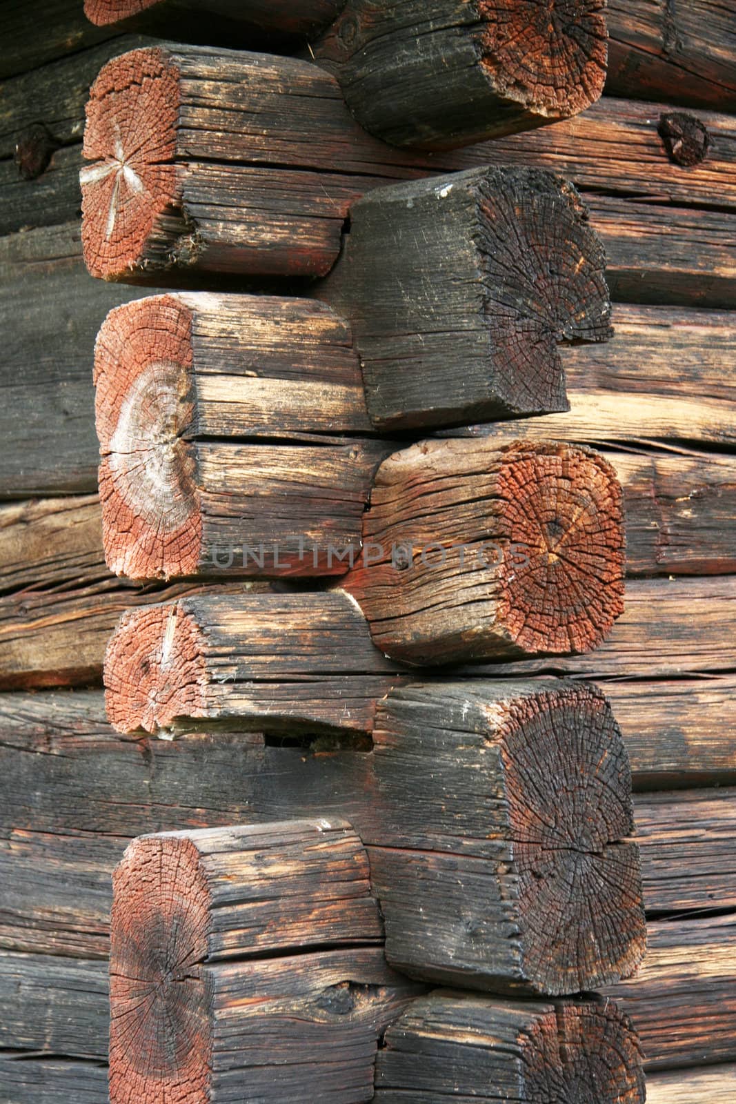 Texture of old wood background closeup 