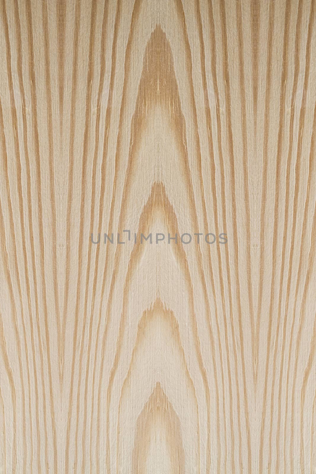 Texture of wood background closeup