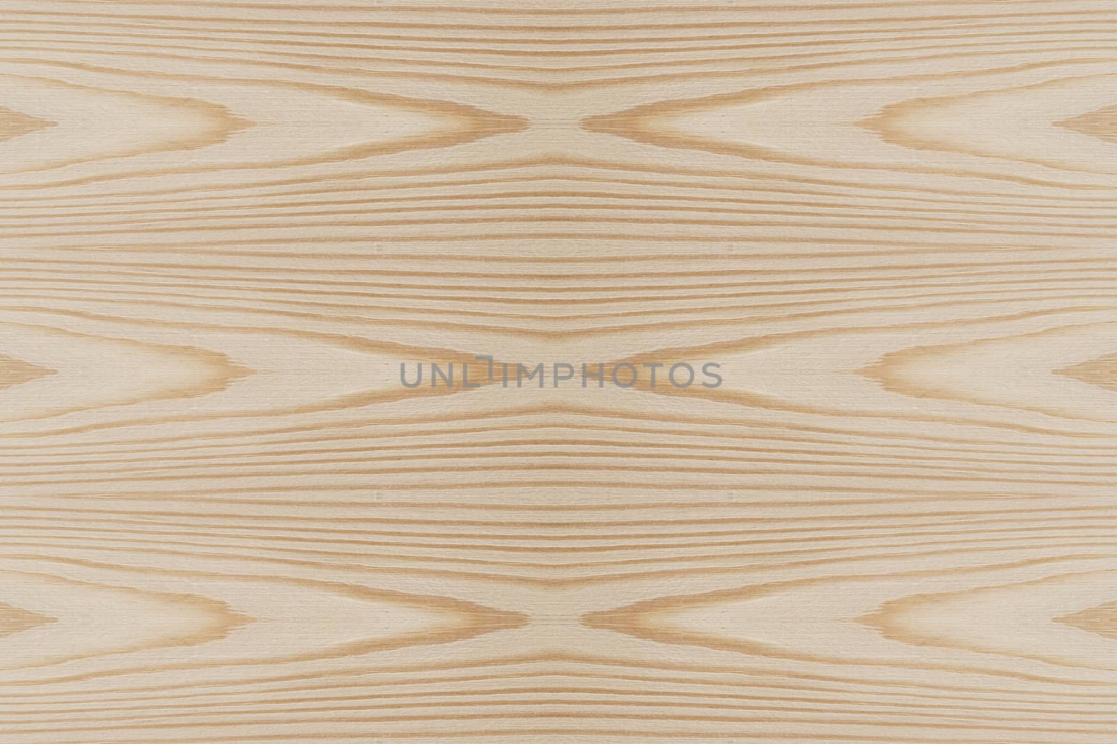 Texture of wood background closeup