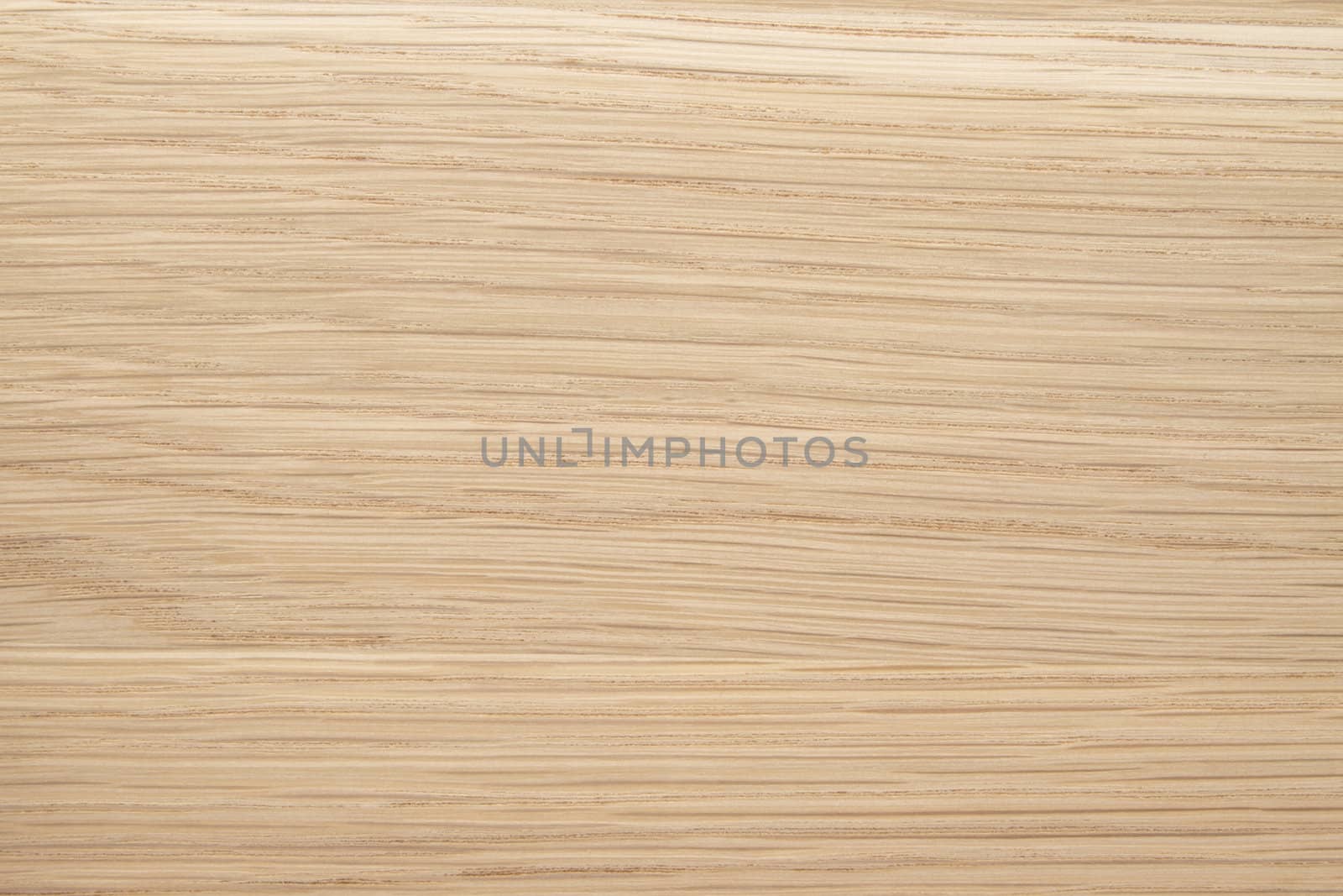 Texture of wood background closeup 