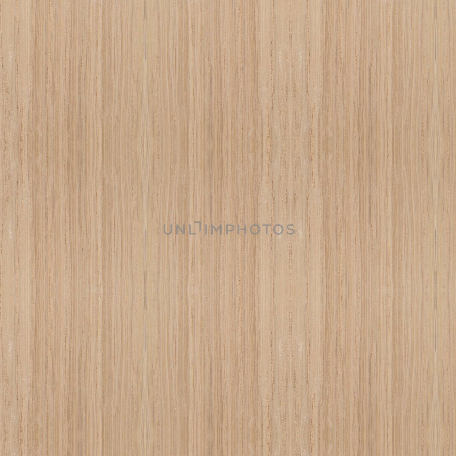 Texture of wood background closeup 