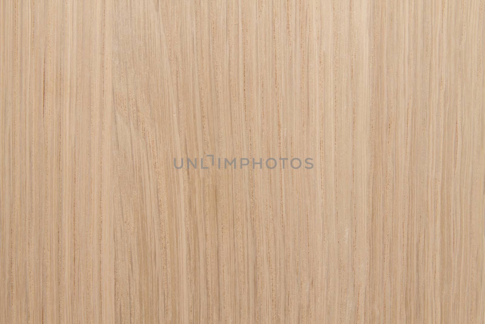 Texture of wood background closeup