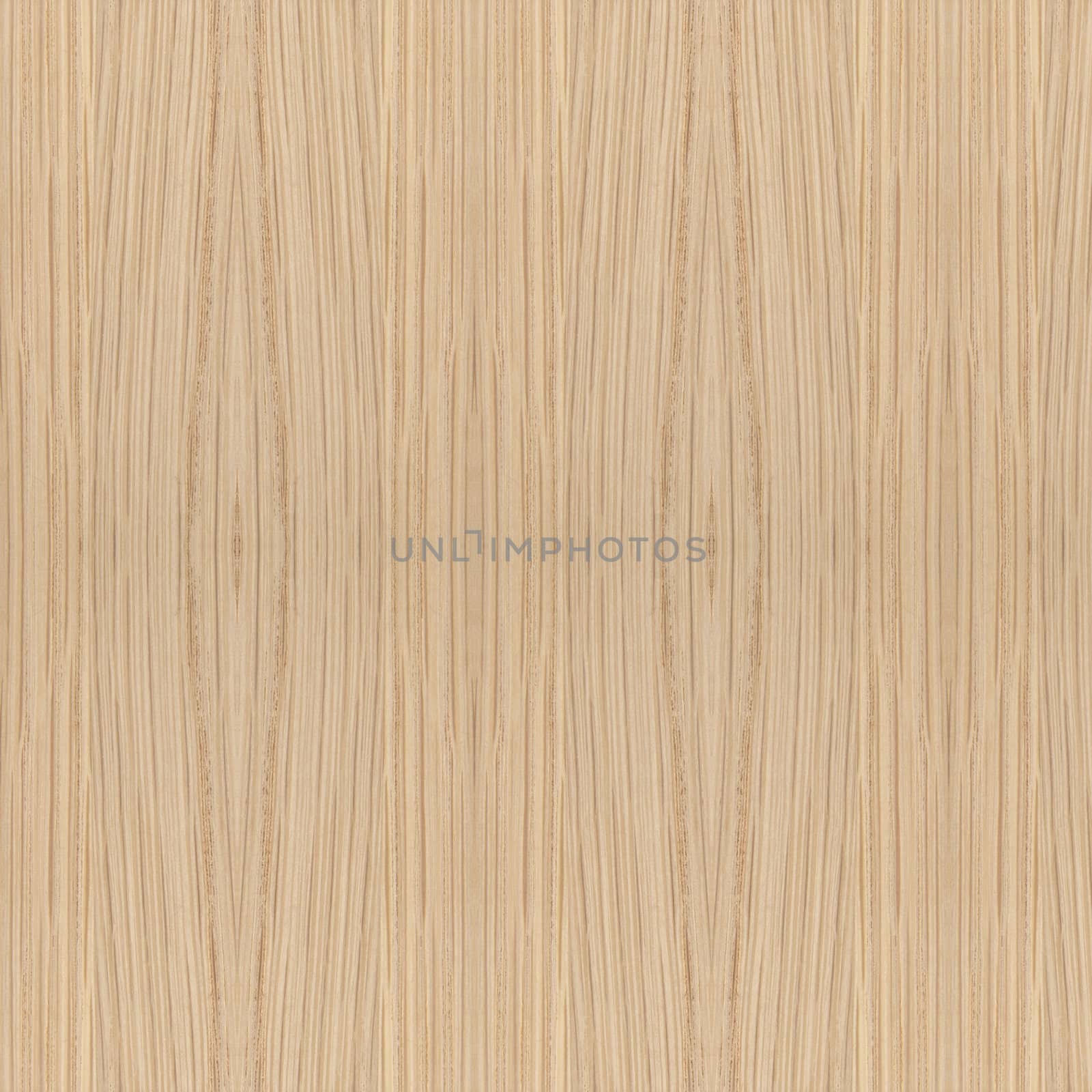 Texture of wood background closeup 