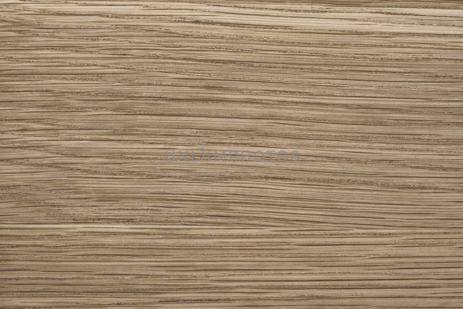 Texture of wood background closeup 