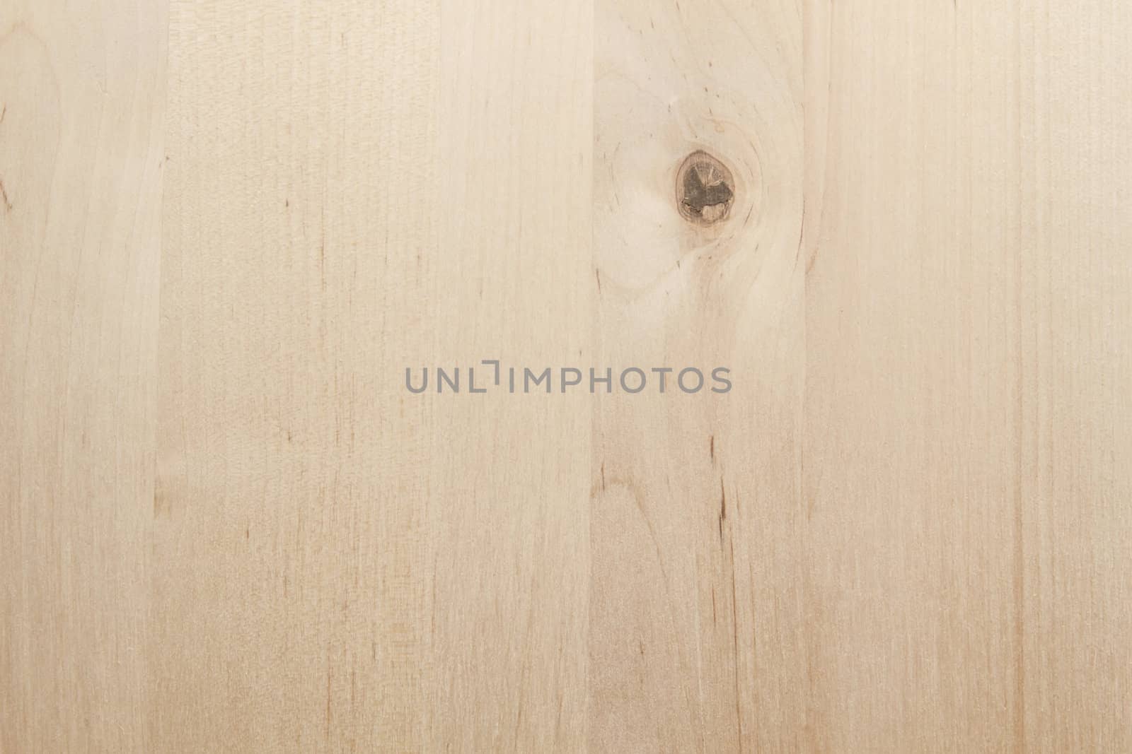 Texture of old wood background closeup