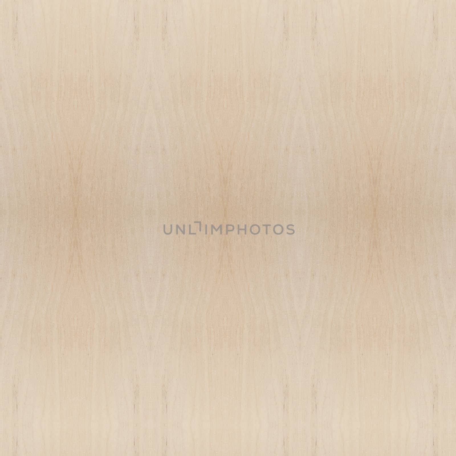 Texture of wood background closeup 