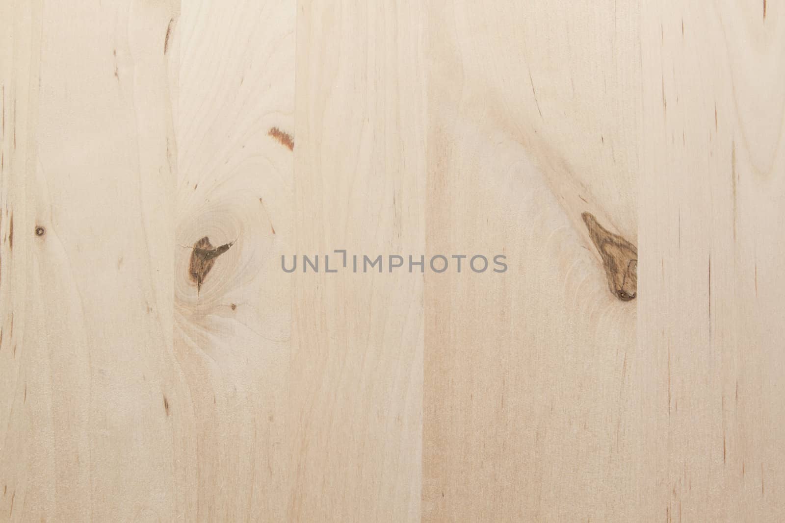 Texture of wood background closeup 