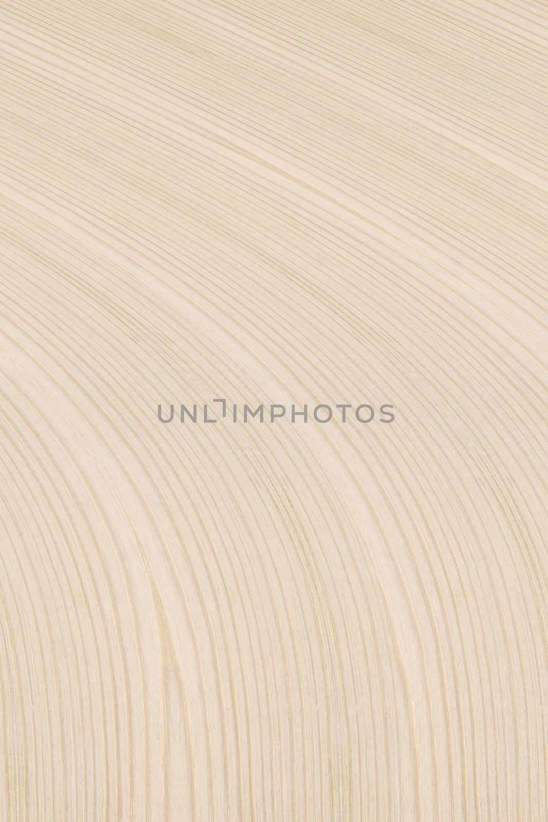 Background of wood texture closeup