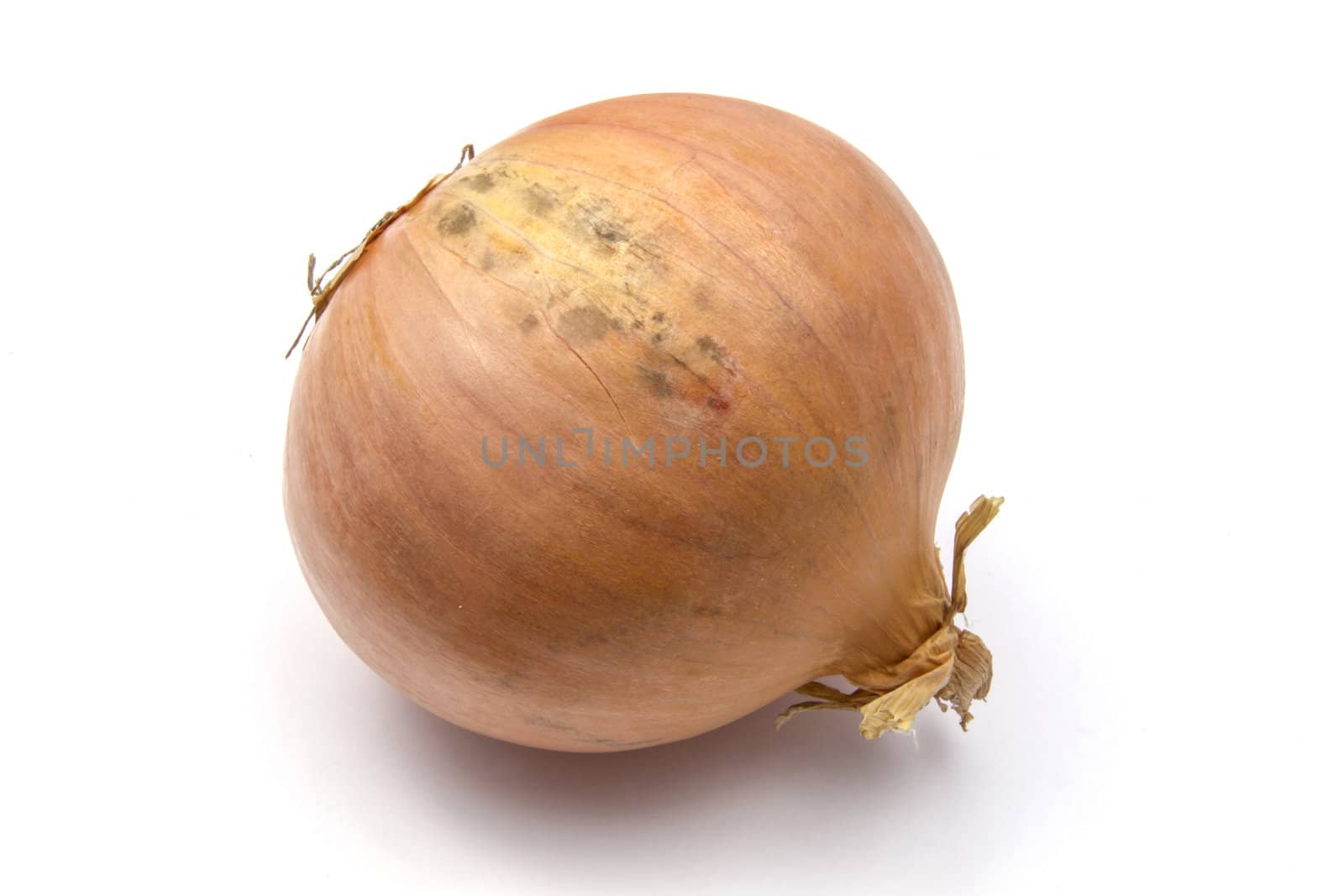 Onions isolated on white background 
