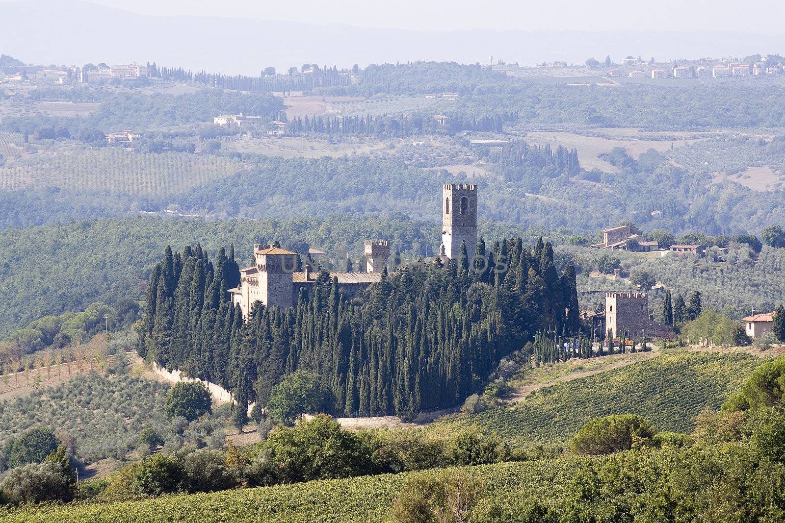The ancient village and the vineyards
