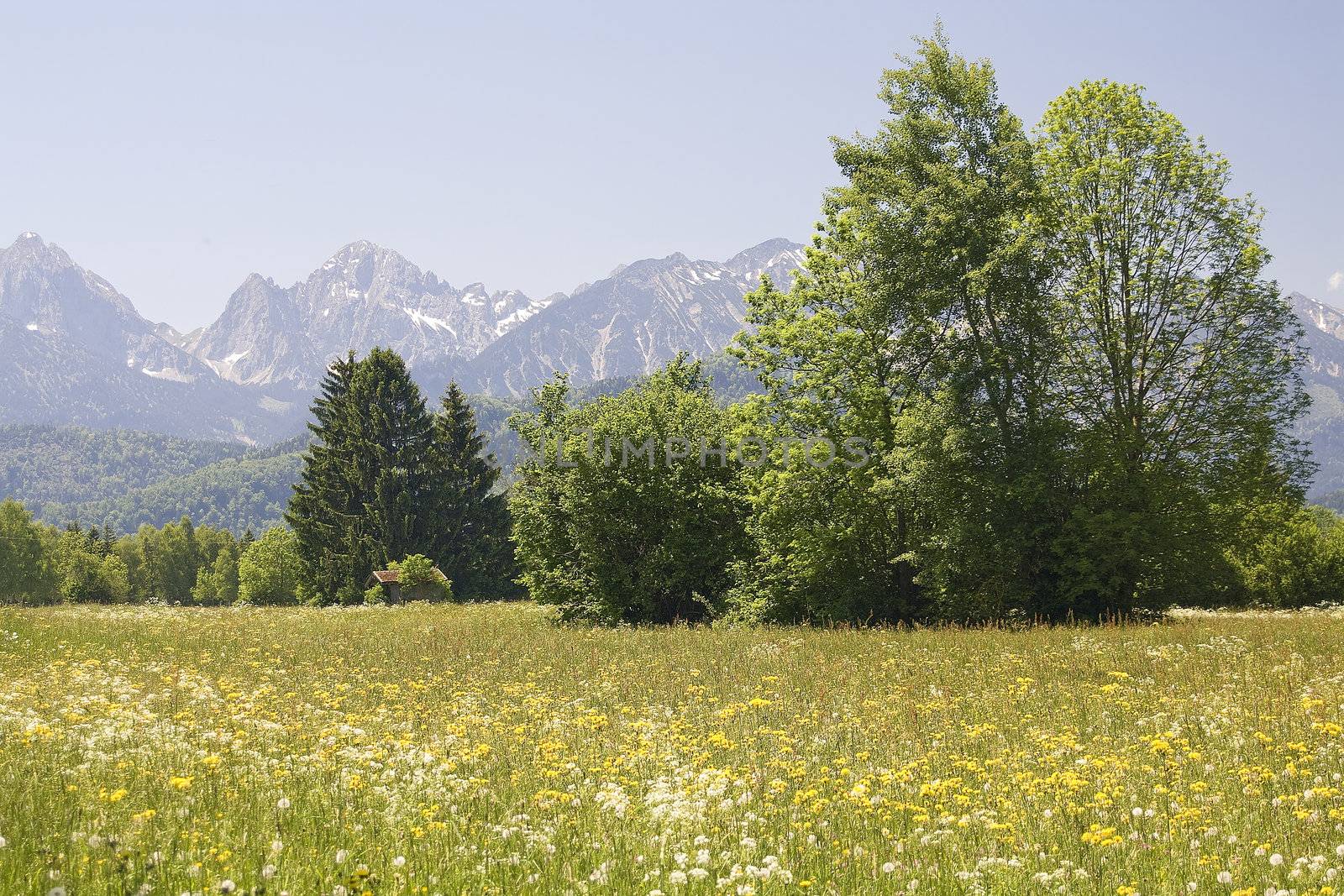 lovely panorama in the alps in Germany