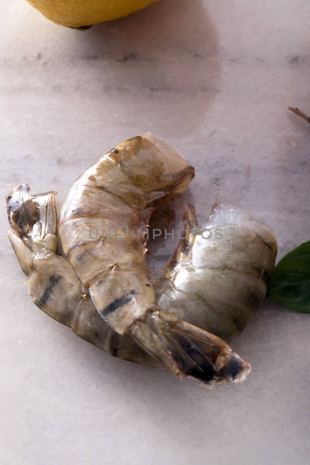 fresh shrimps by Darius.Dzinnik