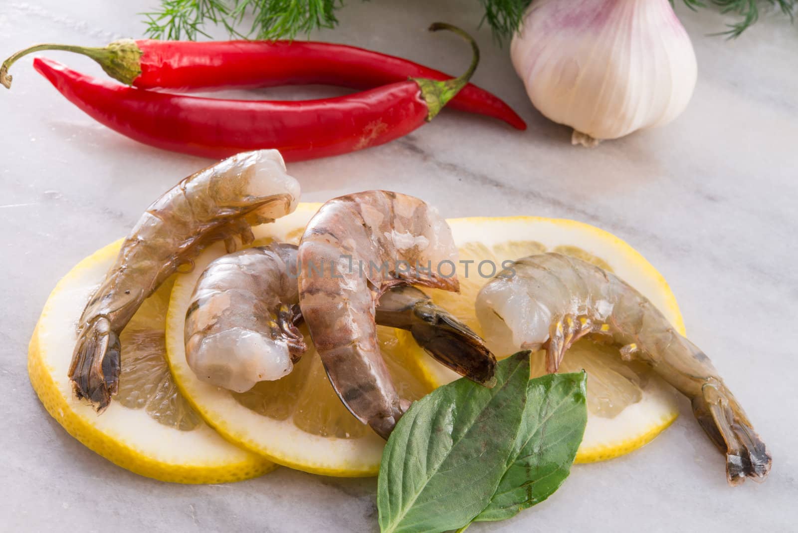 fresh shrimps by Darius.Dzinnik