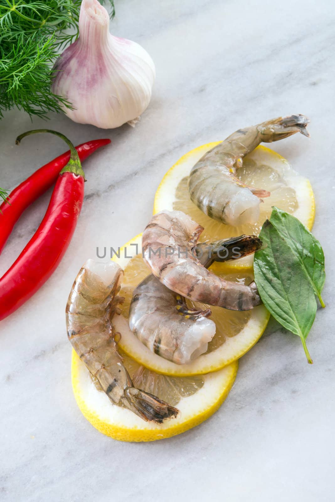 fresh shrimps by Darius.Dzinnik