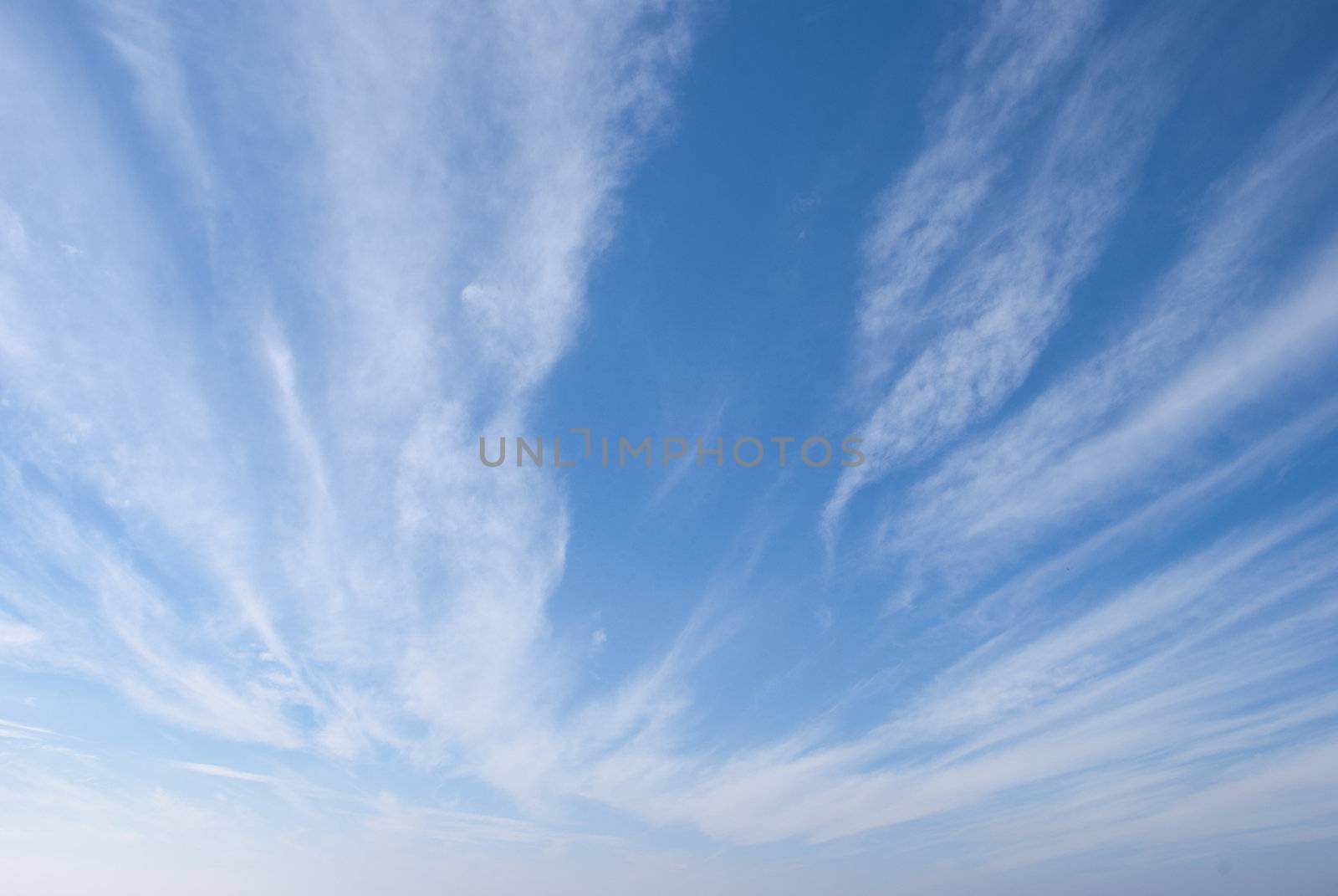 Cirrus or Mares Tails Clouds against a blue sky