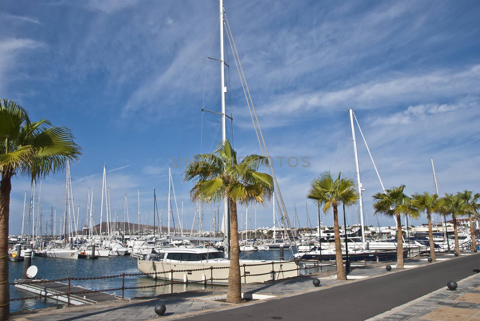 Palm Trees and Yachts by d40xboy