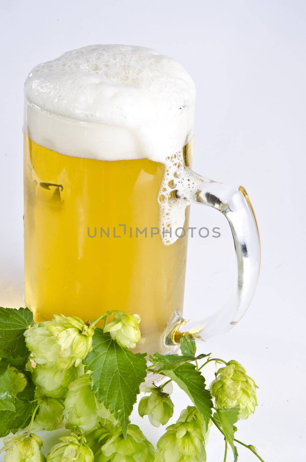 Beer glassware comprises the drinking vessels made of glass designed or commonly used for drinking beer