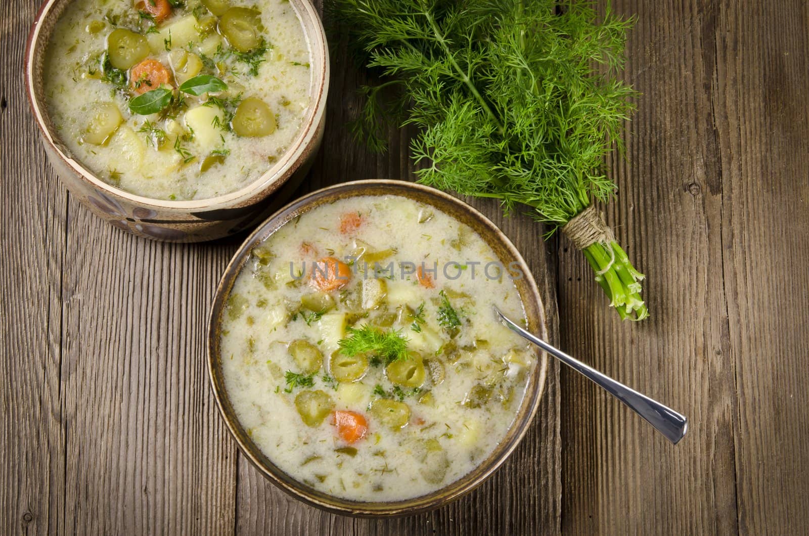 Polish pickled cucumbers soup