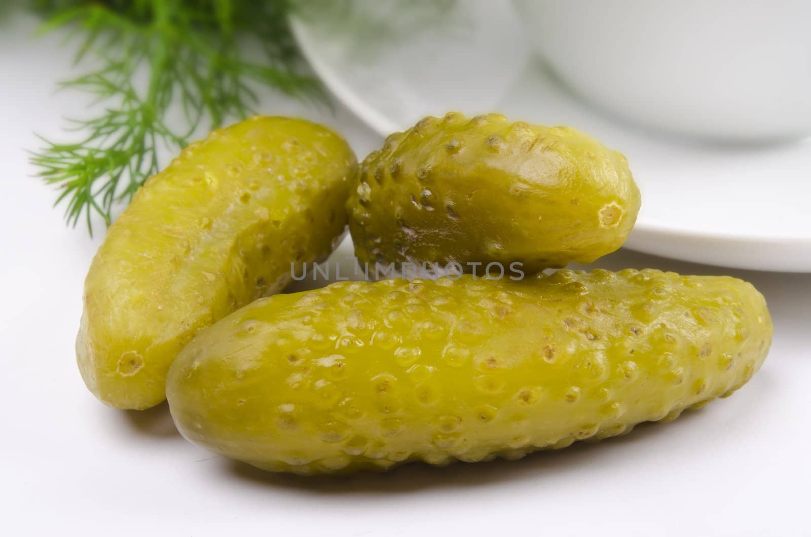 pickled gherkin by Darius.Dzinnik