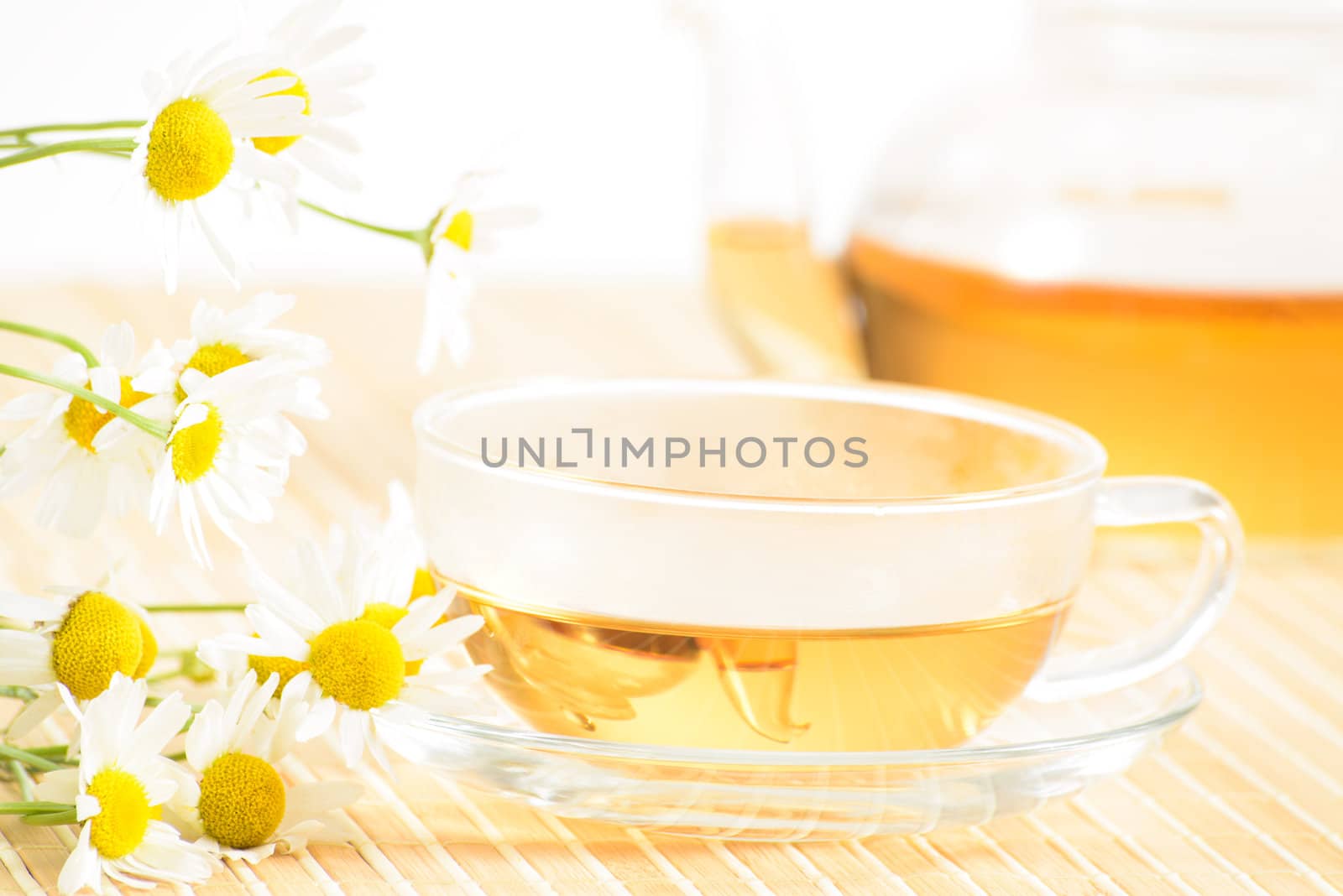 A teacup and a teapot with herbal chamomile tea