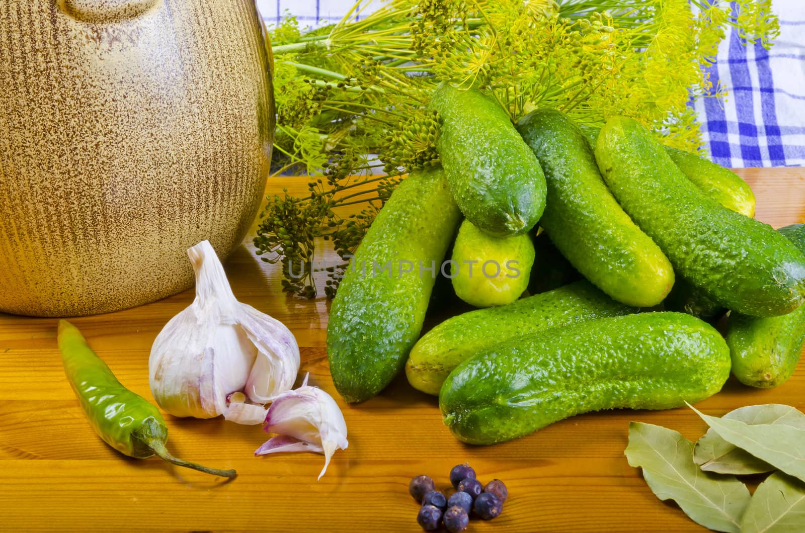 Ingredients for preparation tasty barrel of cucumbers