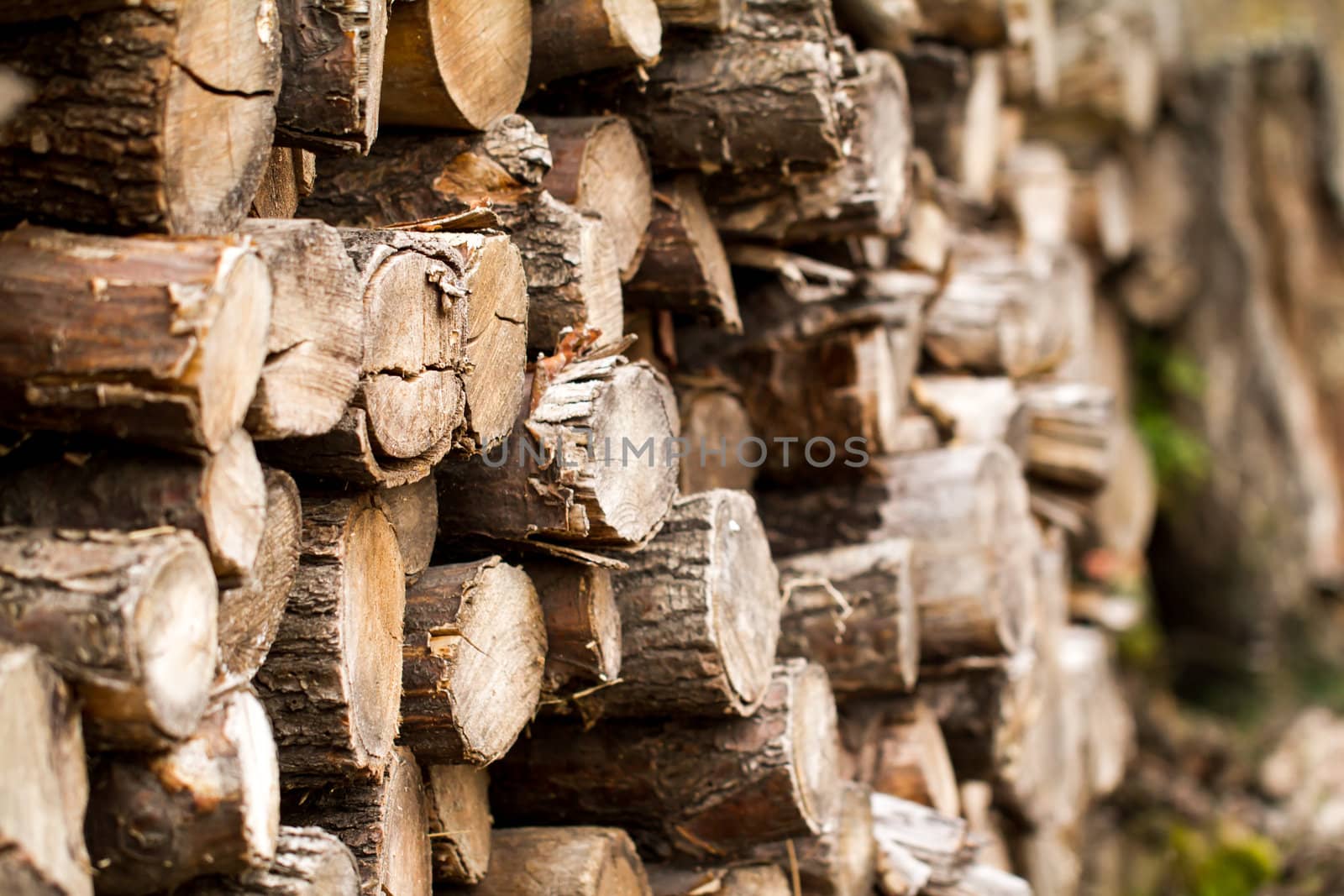 Winter firewood stacked in a pile