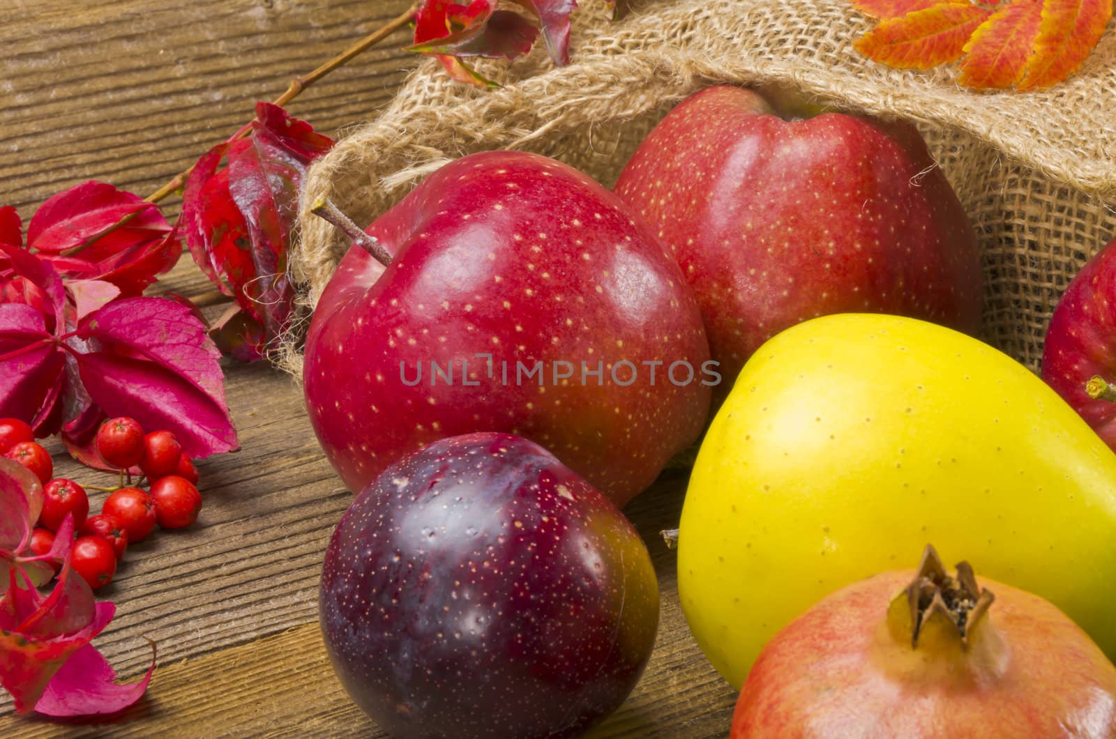 Fruits by Darius.Dzinnik