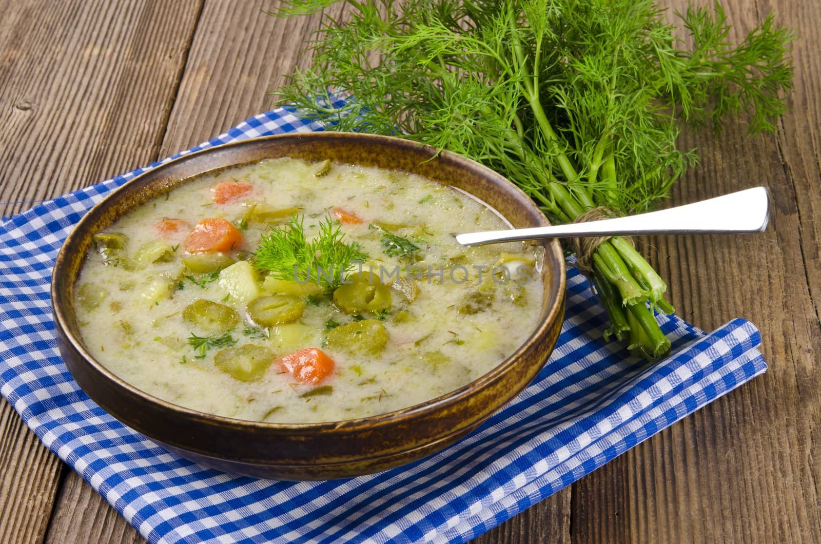 Polish pickled cucumbers soup