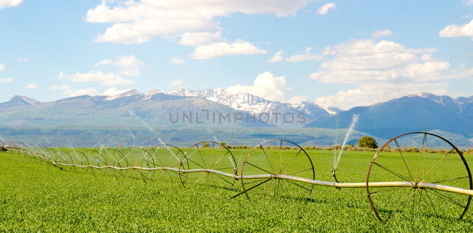 Irrigation System on Farm with San Juan Mountains in Background by robert.bohrer25@gmail.com